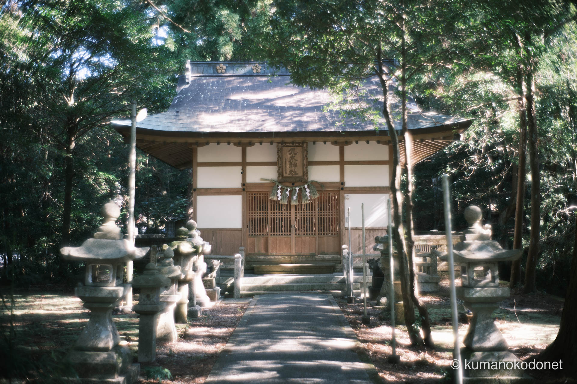 九木神社 ｜ 三重県尾鷲市九鬼町 ｜ 国指定天然記念物九木神社樹叢に包まれた本殿 ｜ 2026 ｜ KVA