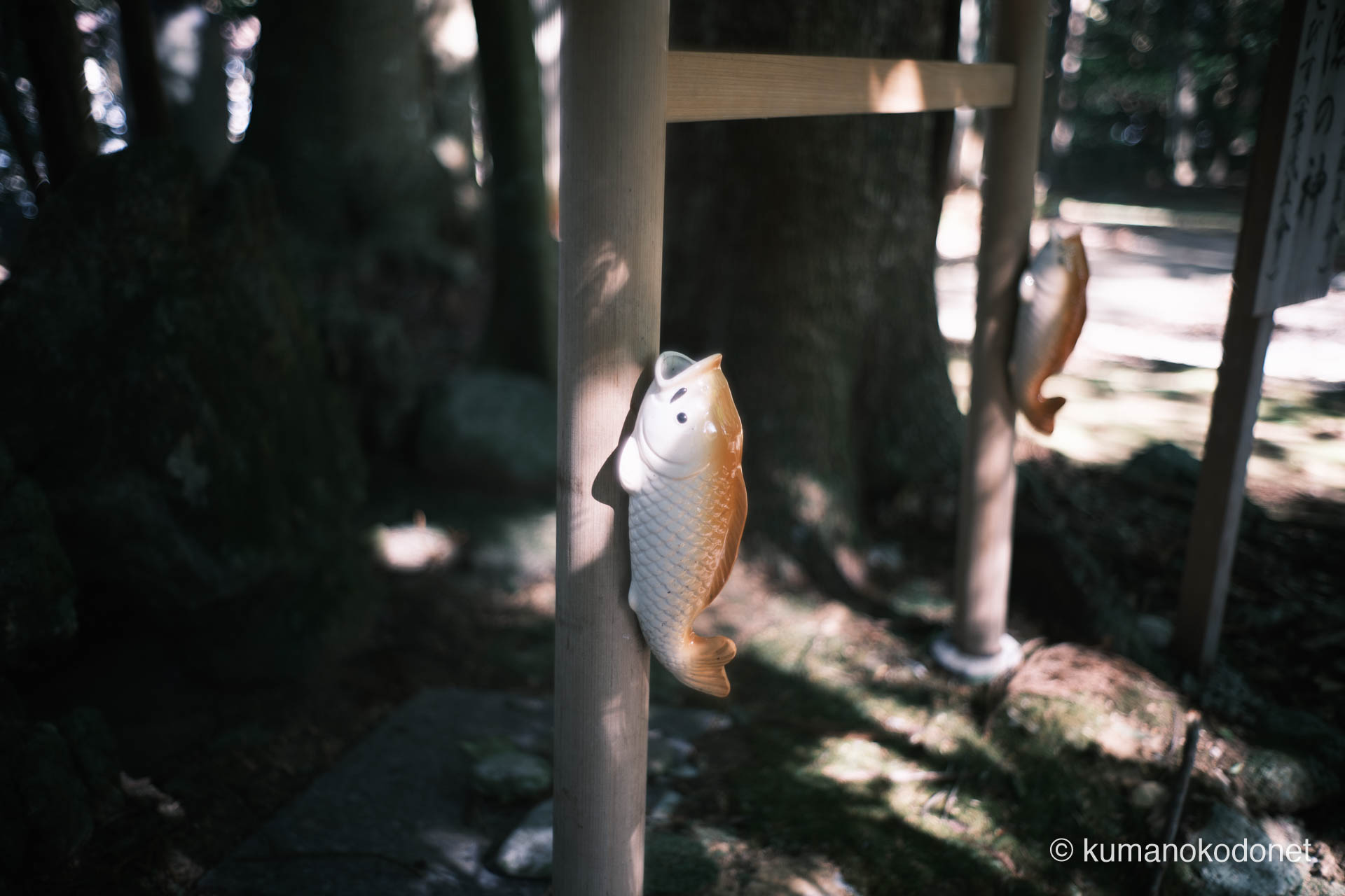 九木神社 ｜ 三重県尾鷲市九鬼町 ｜ 石鳥居に据えられた二匹の鯛の彫刻 ｜ 2026 ｜ KVA