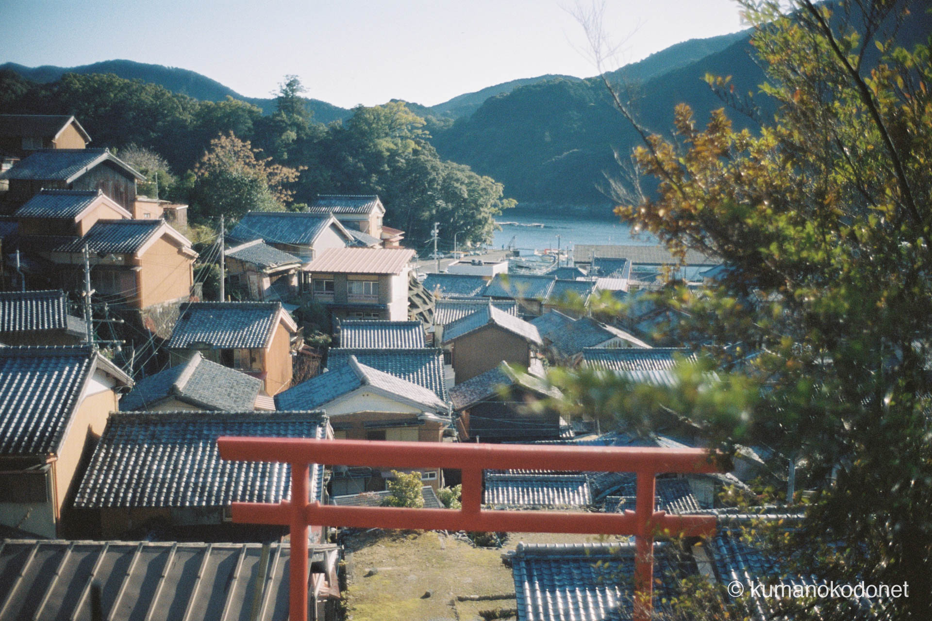 真巌寺 ｜ 三重県尾鷲市 ｜ 赤い鳥居越しに望む九鬼集落 ｜ 2026 ｜ KVA