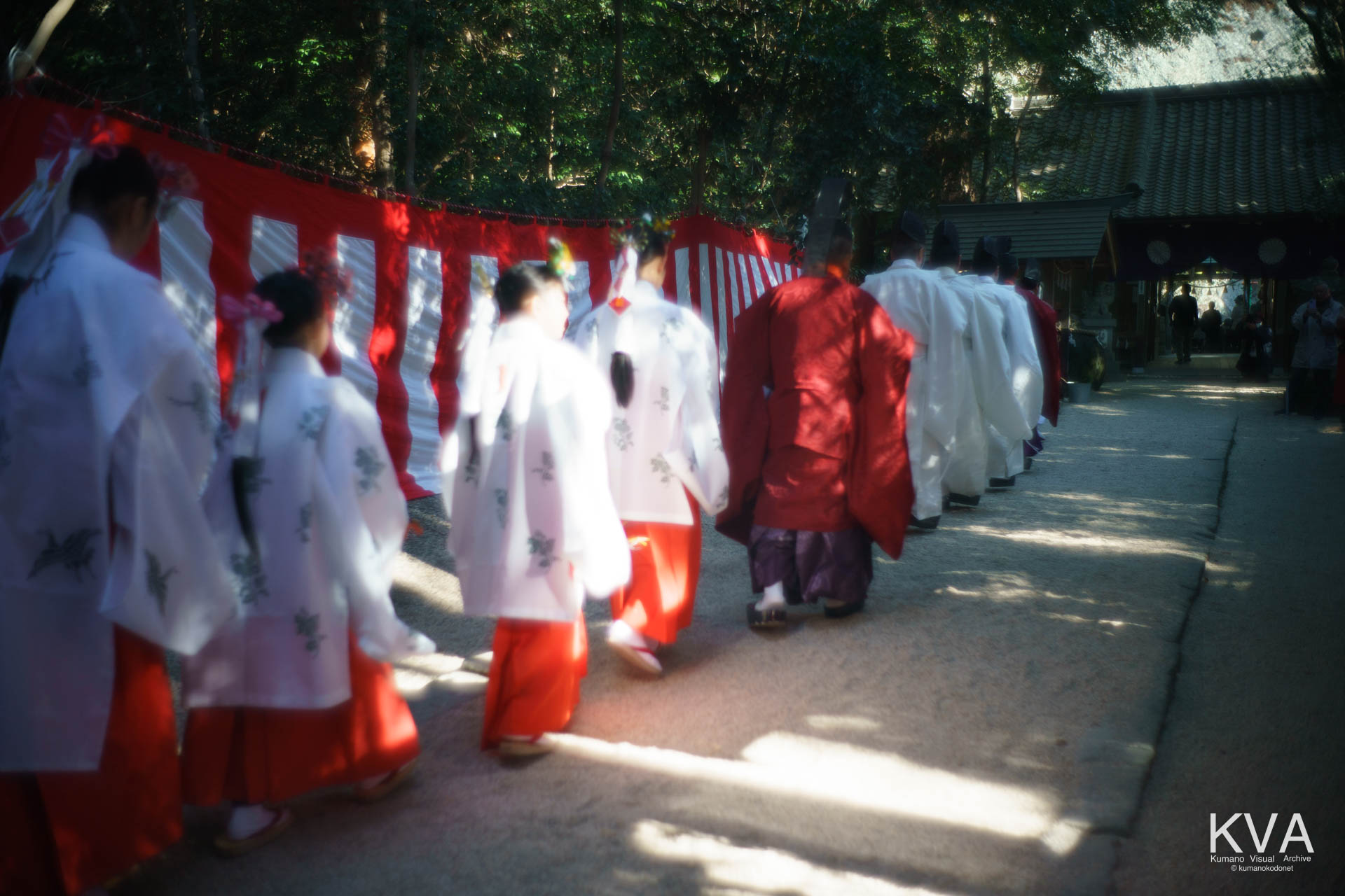 木漏れ日の参道を進む神職と巫女の行列