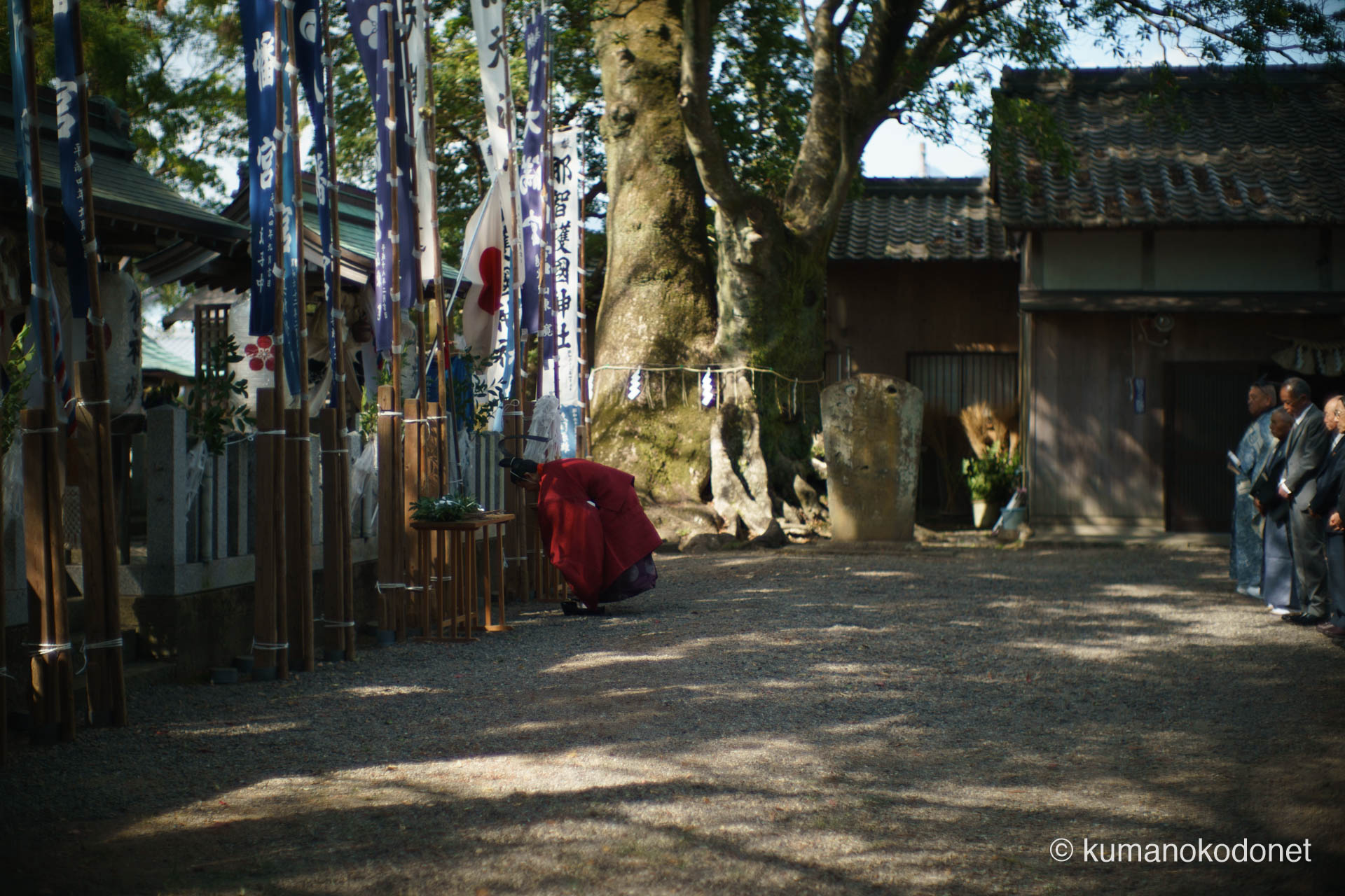 天満天神社の例大祭にて、クスノキとホルトノキが寄り添う御神木の前で、深く拝礼する神職。境内にはためく多数の幟と、厳かに執り行われる神事の静寂が交差し、古くからこの地を守り続ける産土神(うぶすながみ)への深い敬意を感じさせる一瞬。| Tenma Tenjinja, Nachikatsuura, Wakayama | SONY α7 | 2026