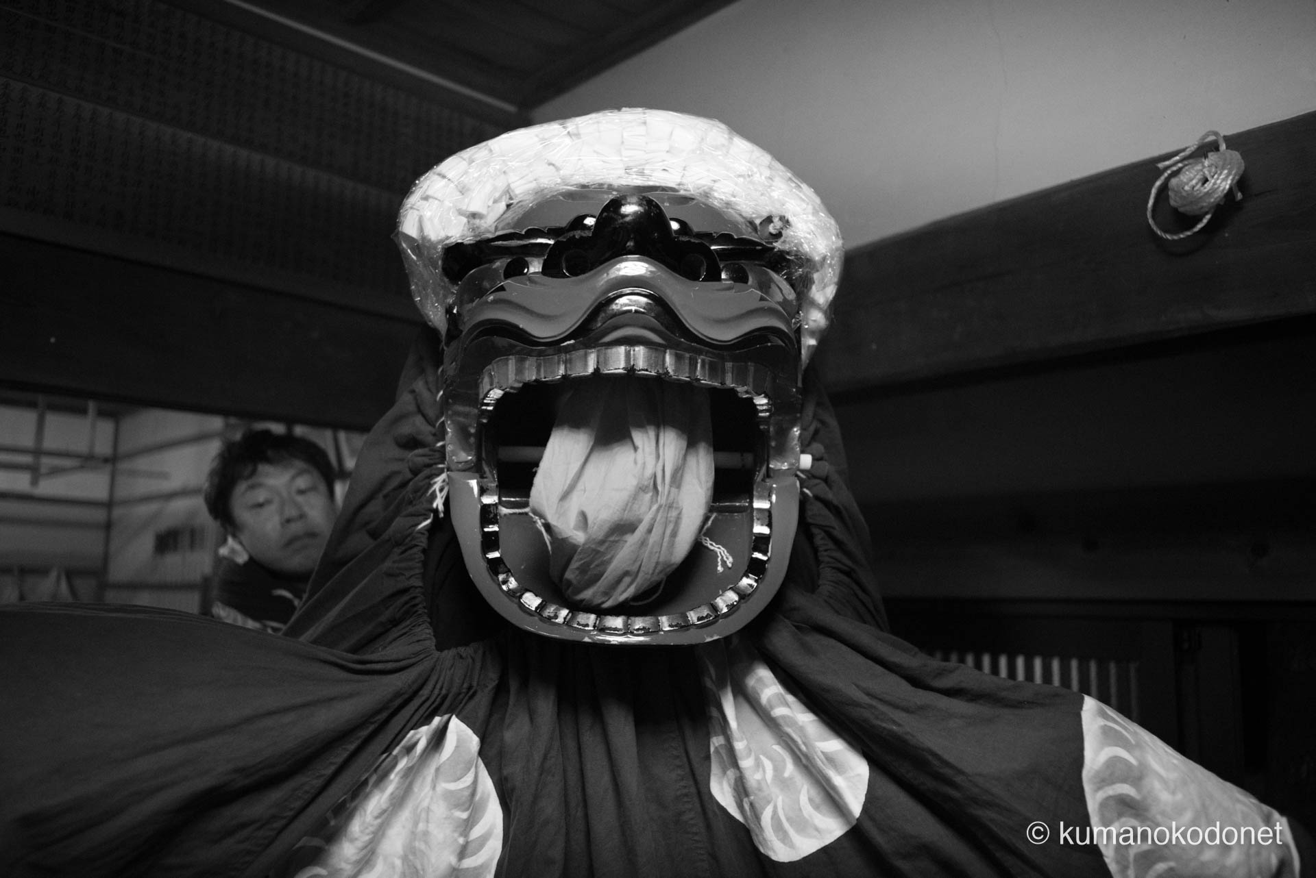 宵宮の暗がりに浮かび上がる獅子頭と背後で操る若衆の眼差し