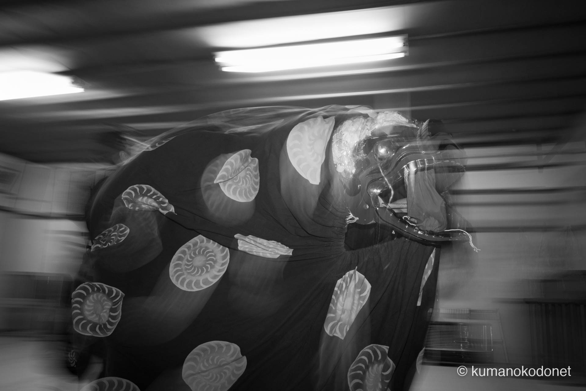 宵宮、天満天神社の拝殿で最高潮に達する獅子舞の奉納。激しく旋回する獅子の動きを捉えた流動的な描写が、天満交友会が継承する古座流の荒々しさと、夜の境内に渦巻くエネルギーを鮮烈に描き出す。伝統が熱狂へと変わる瞬間の記録。| Tenma Tenjinja, Nachikatsuura, Wakayama | SONY α7
