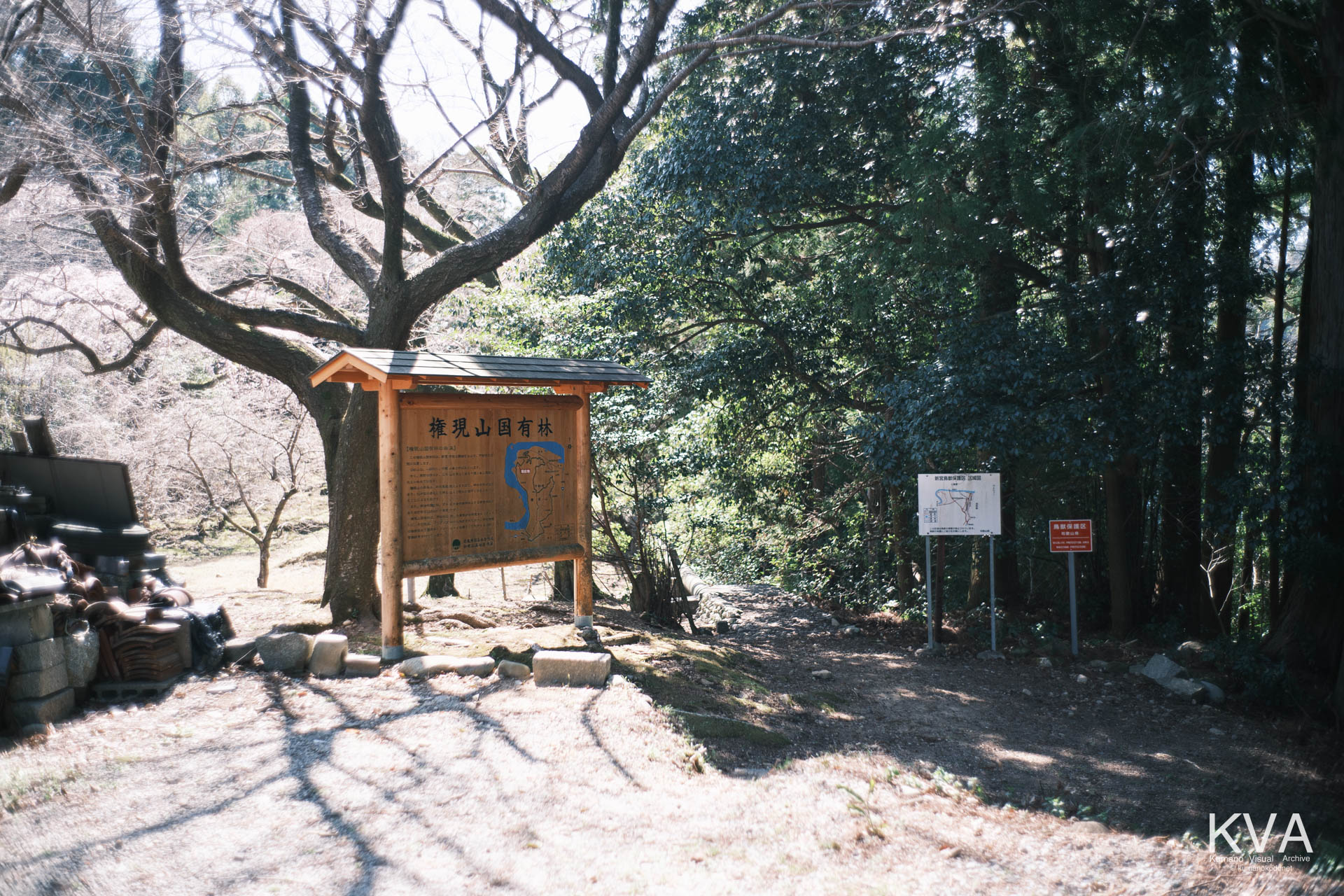 相筋の桜 | 「権現山国有林」の看板が立つ桜の広場への入口 | 和歌山県新宮市 | 2026 | KVA | kumanokodonet
