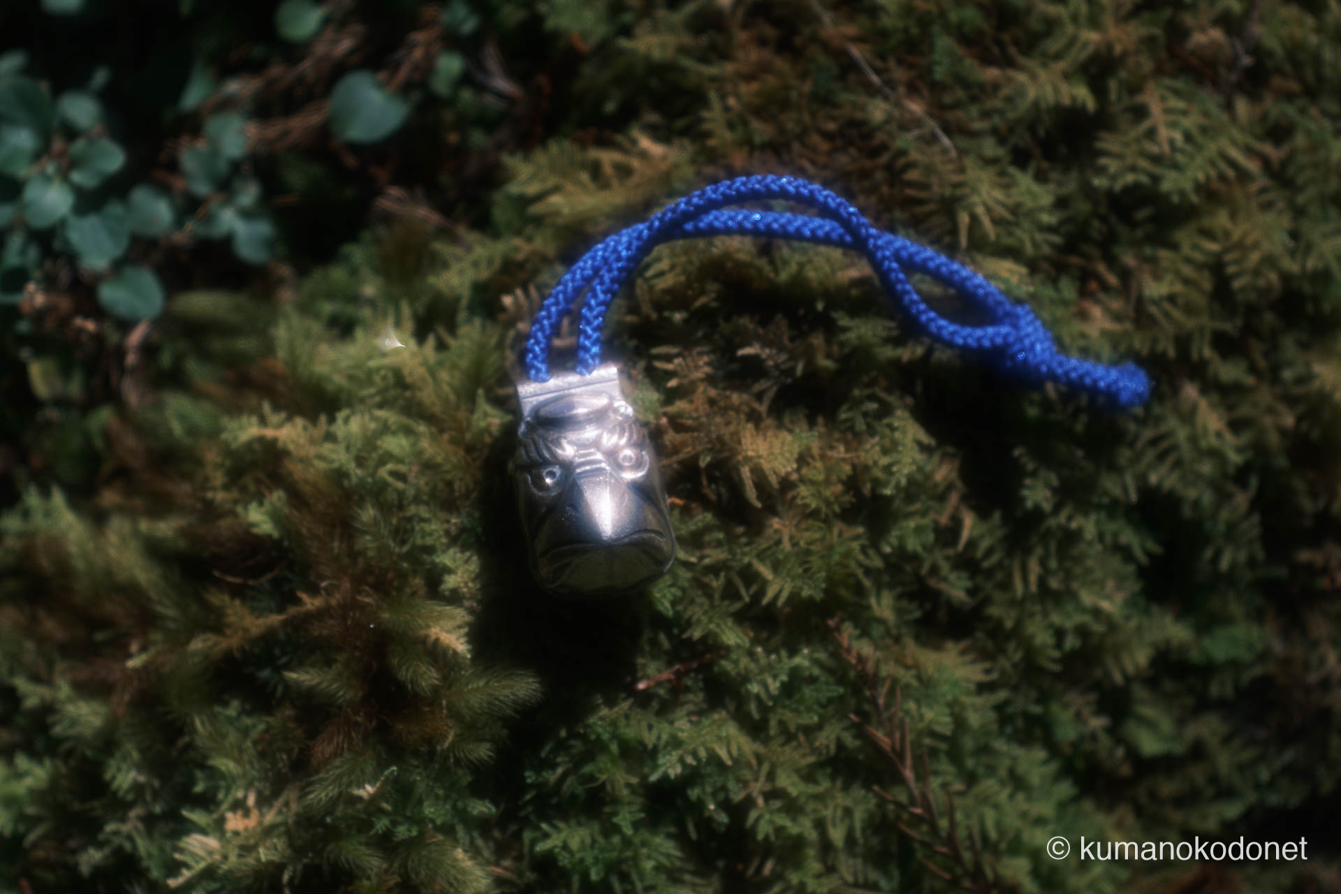 苔むした岩に置かれた「天狗鈴」。彼女の美徳と那智の加護を宿す撮影の守り神。新宮市にて。 | Kuwanoki Valley, Shingu, Wakayama | GFX Classic Neg. | 2026