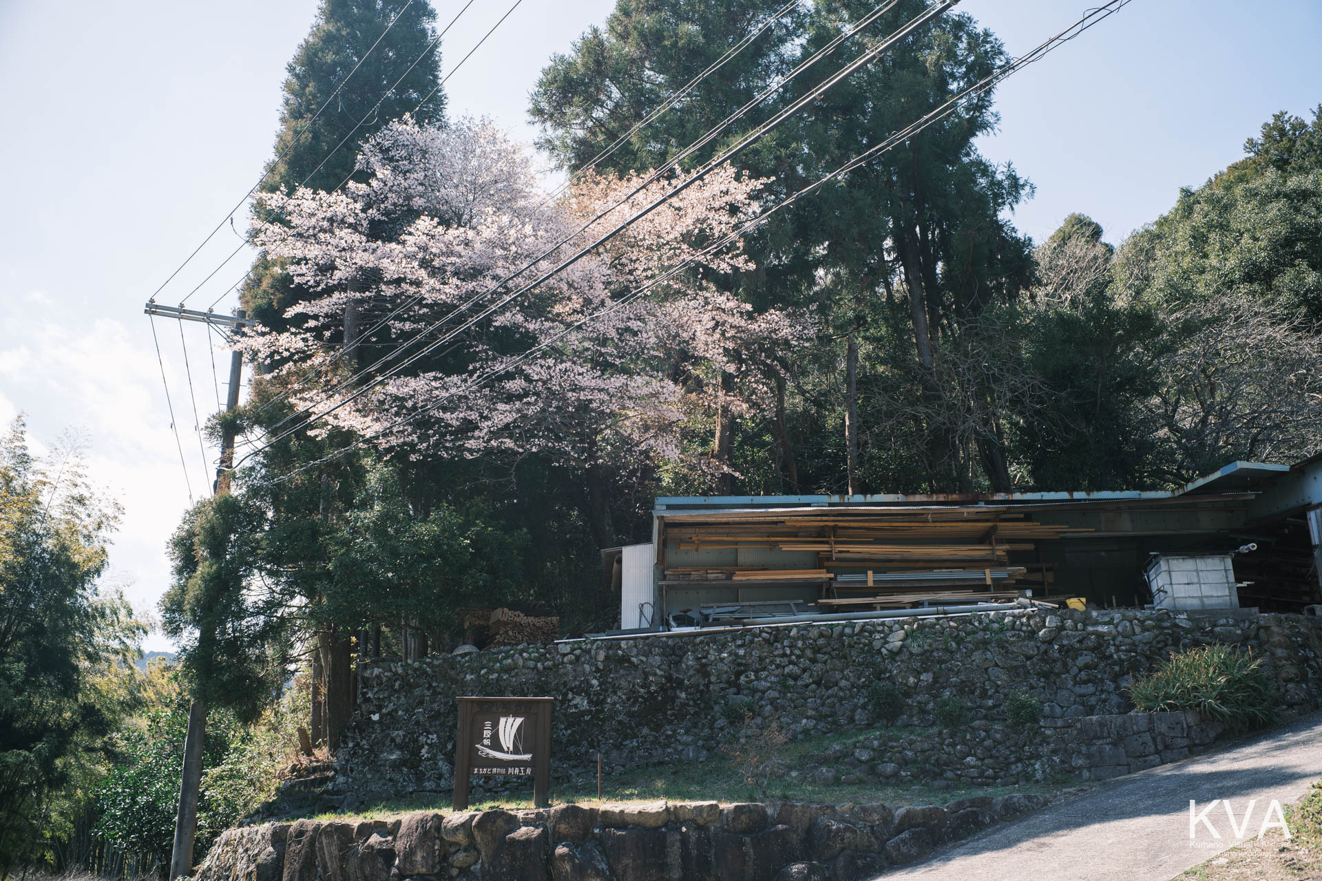 まちかど博物館「川舟工房」の看板と、石垣の上に咲き誇るクマノザクラ。伝統的な川舟文化と野生種のサクラが交差する地点。三重県紀宝町北桧杖にて。 ｜ Kawabune Kobo & Kumanozakura ｜ GFX Classic Neg. ｜ 2026