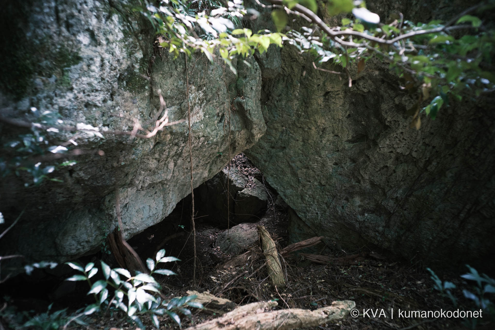 巨岩の麓に位置する蝙蝠の岩屋の入口