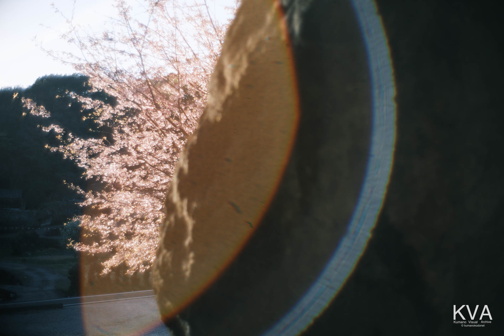 巨岩の胎内より望む入口の桜