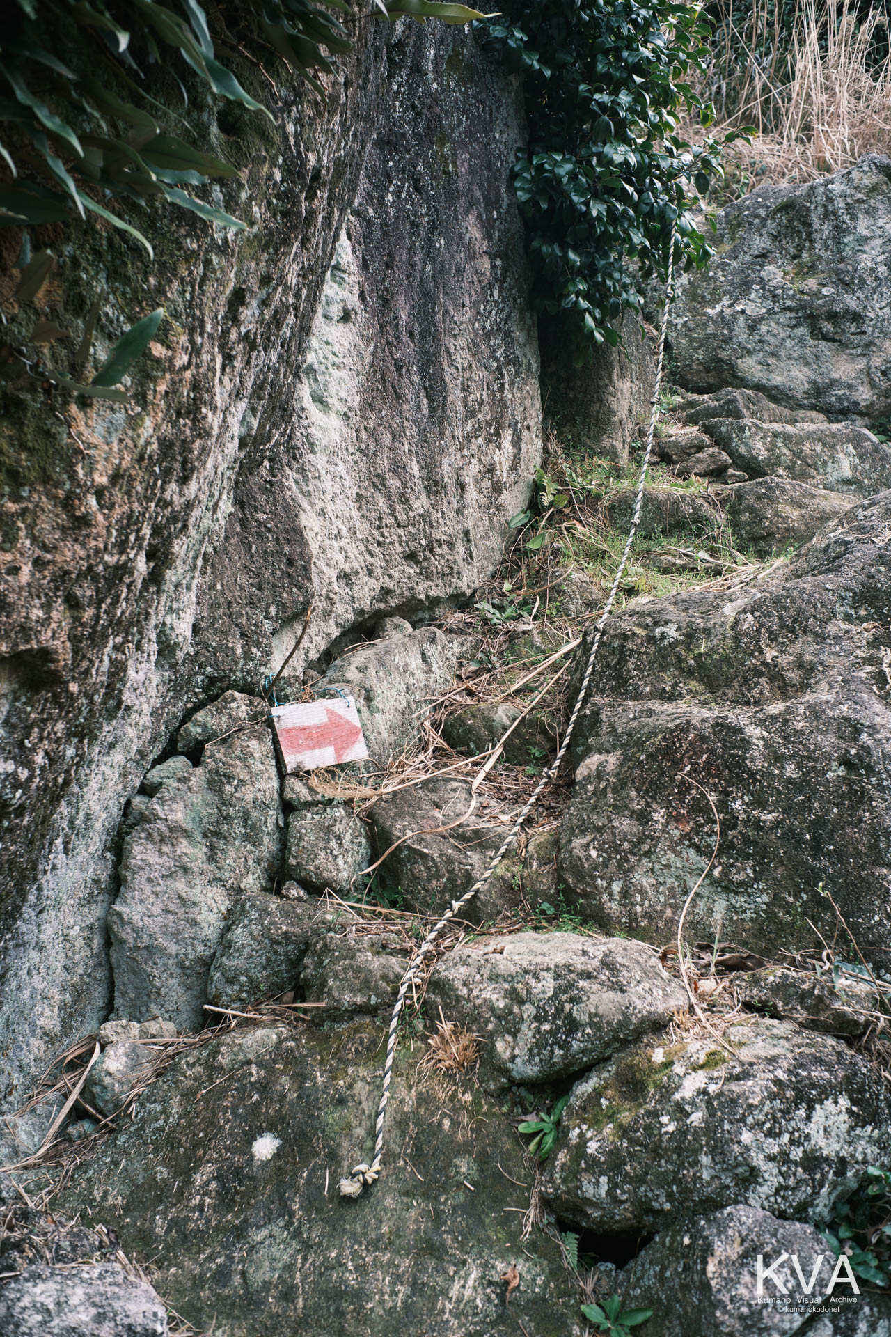 神内神社 古神殿 | 入口付近の険しい石段と補助用虎ロープ | 三重県紀宝町 | 2026 | KVA | kumanokodonet