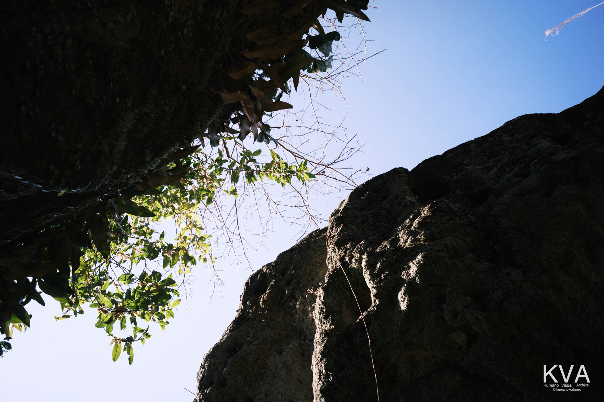 神内神社 古神殿 | 巨岩の胎内から見上げた岩の隙間と空 | 三重県紀宝町 | 2026 | KVA | kumanokodonet