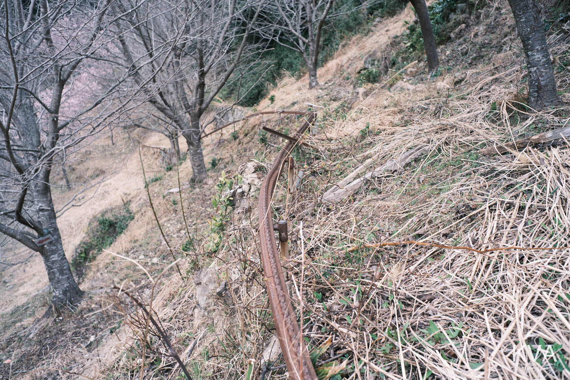 山肌に遺存する錆びた運搬用モノレールの軌道跡