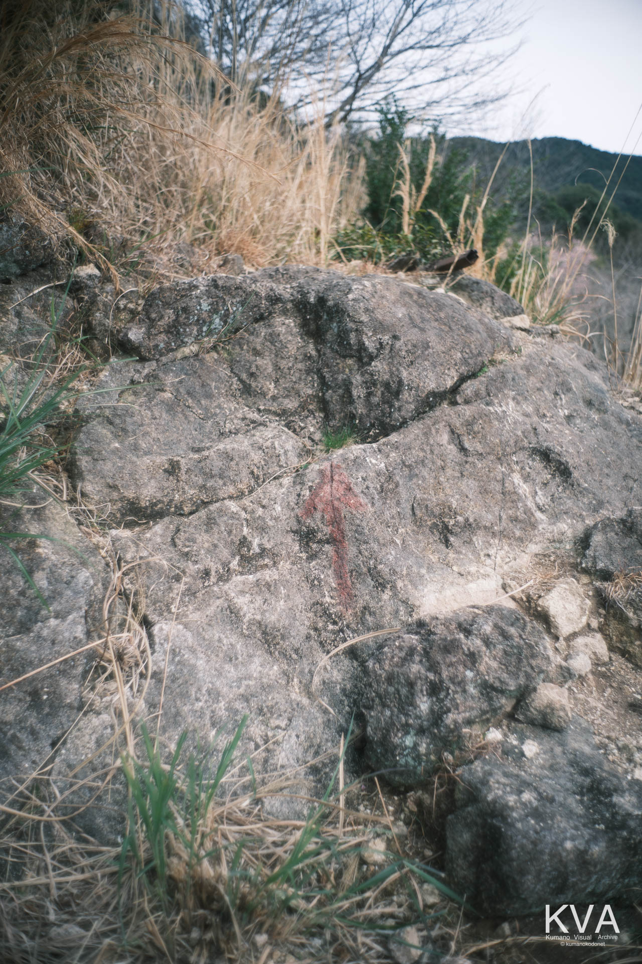神内神社 古神殿 | 岩肌に直接描かれた赤い矢印の経路案内 | 三重県紀宝町 | 2026 | KVA | kumanokodonet