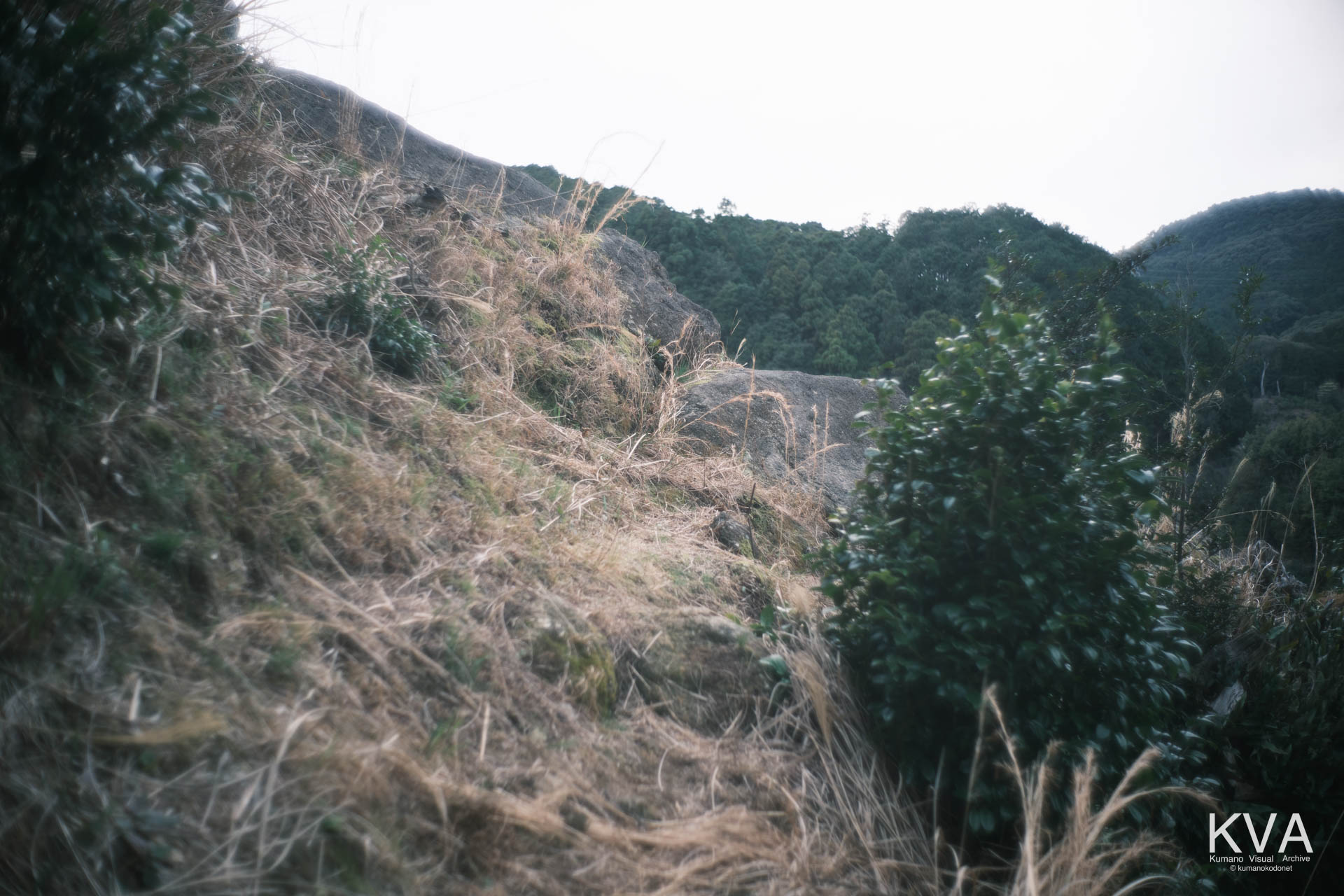 踏み跡が不明瞭な岩山の斜面環境