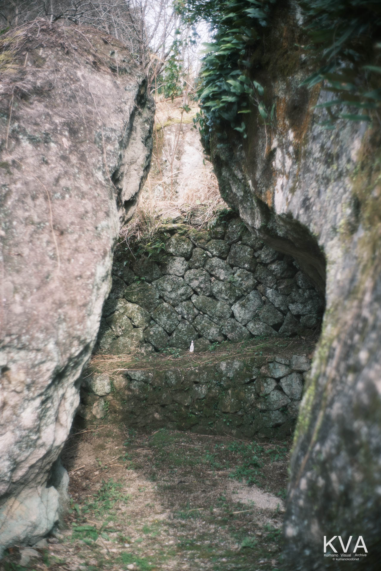 神内神社 古神殿 | 二つに割れた巨岩の奥に広がる祭祀の場 | 三重県紀宝町 | 2026 | KVA | kumanokodonet