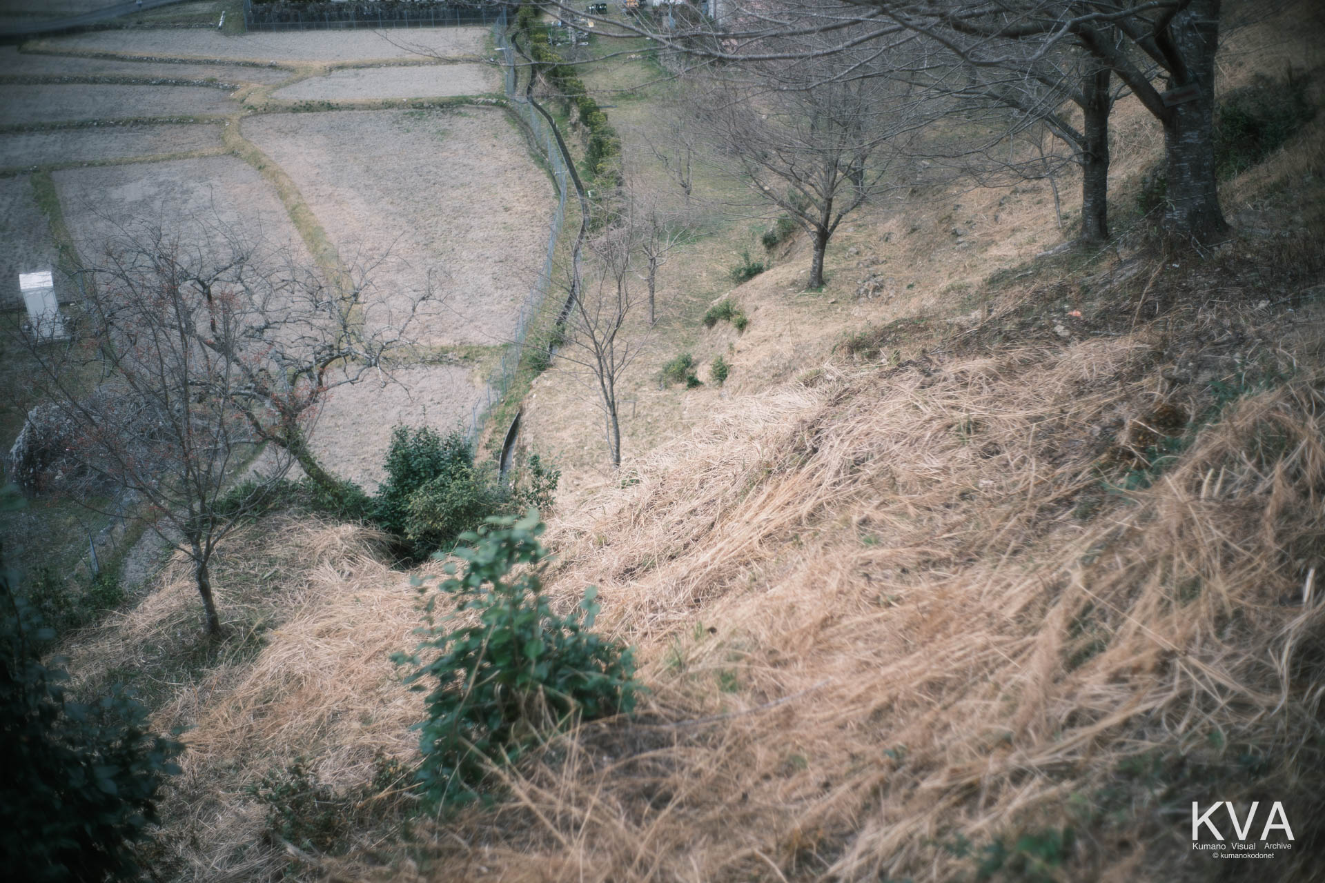 赤い分岐標識の先で消失した不明瞭な下り経路