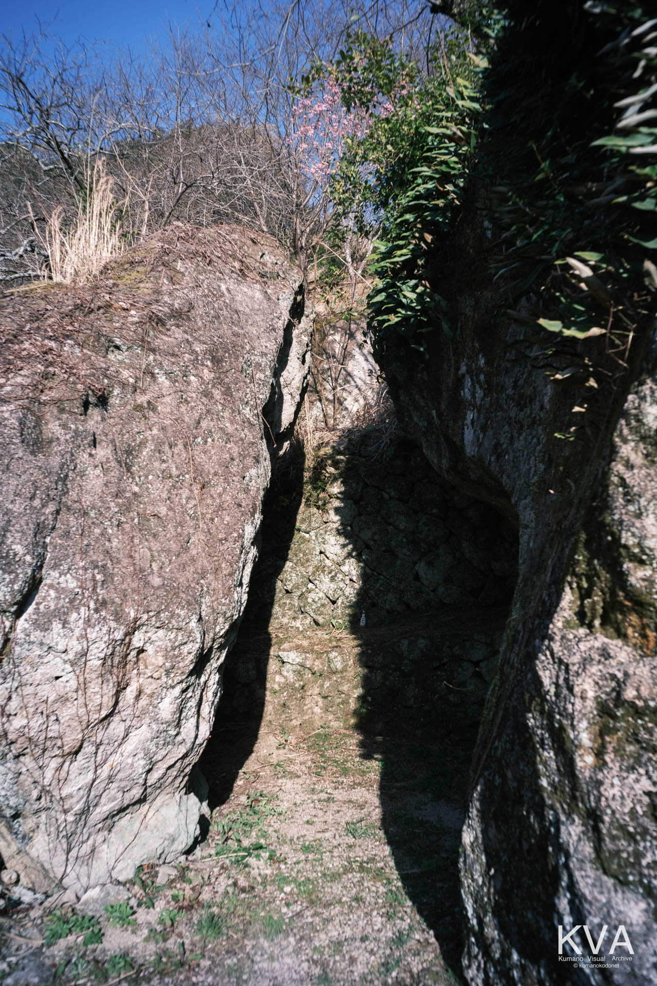 神内神社 古神殿 | 子宮のような構造を持つ巨岩の内部と岩肌の質感(近景) | 三重県紀宝町 | 2026 | KVA | kumanokodonet