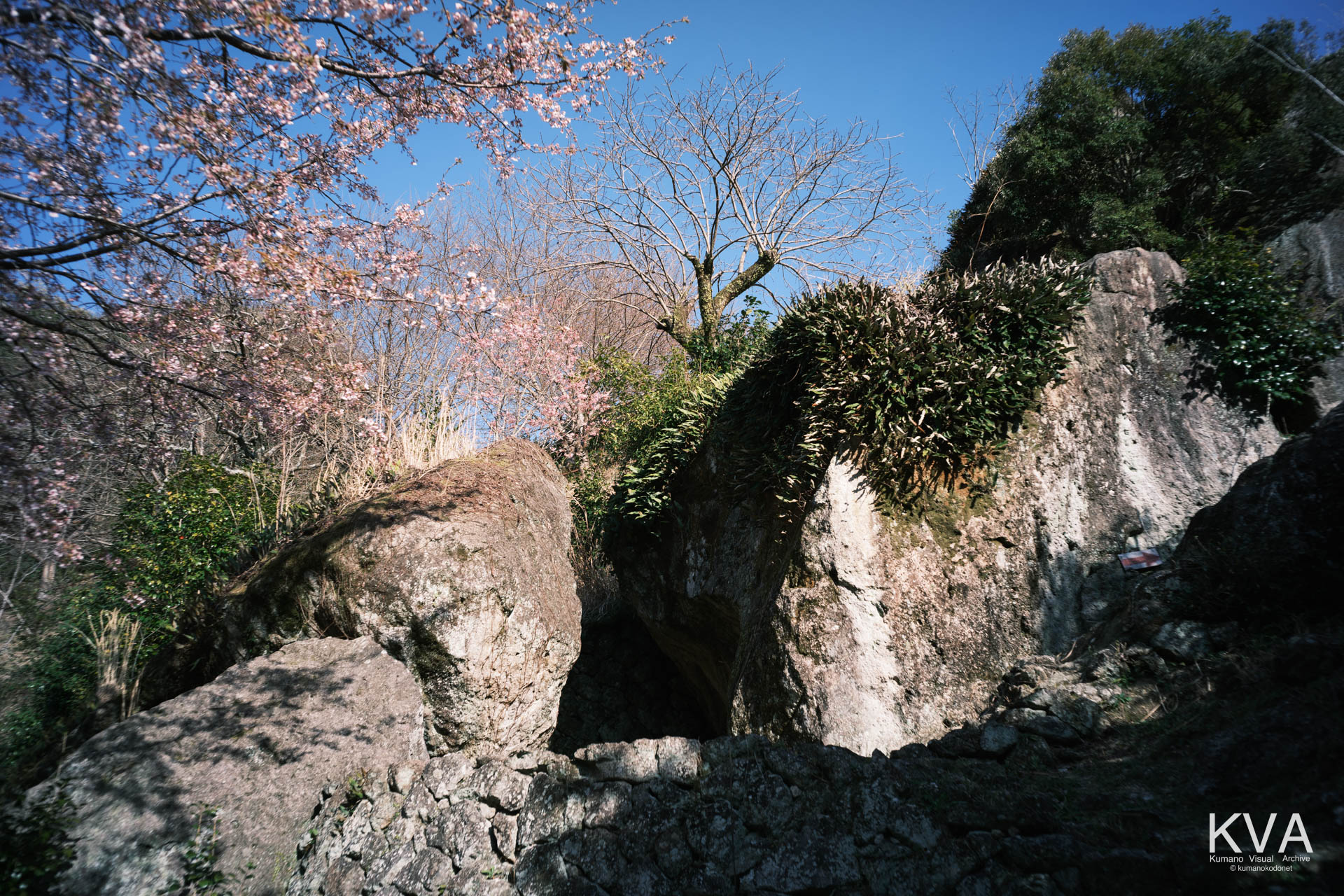 神内神社 古神殿 | 子宮を彷彿とさせる巨岩の裂け目とその周辺の全景 | 三重県紀宝町 | 2026 | KVA | kumanokodonet