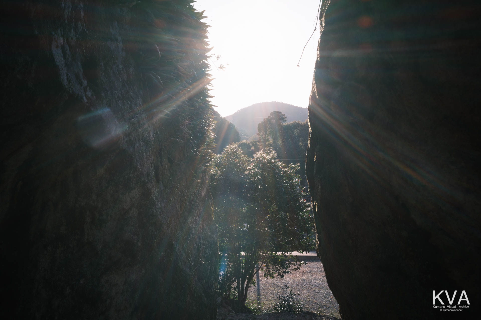 巨岩の裂け目から望む外部の環境