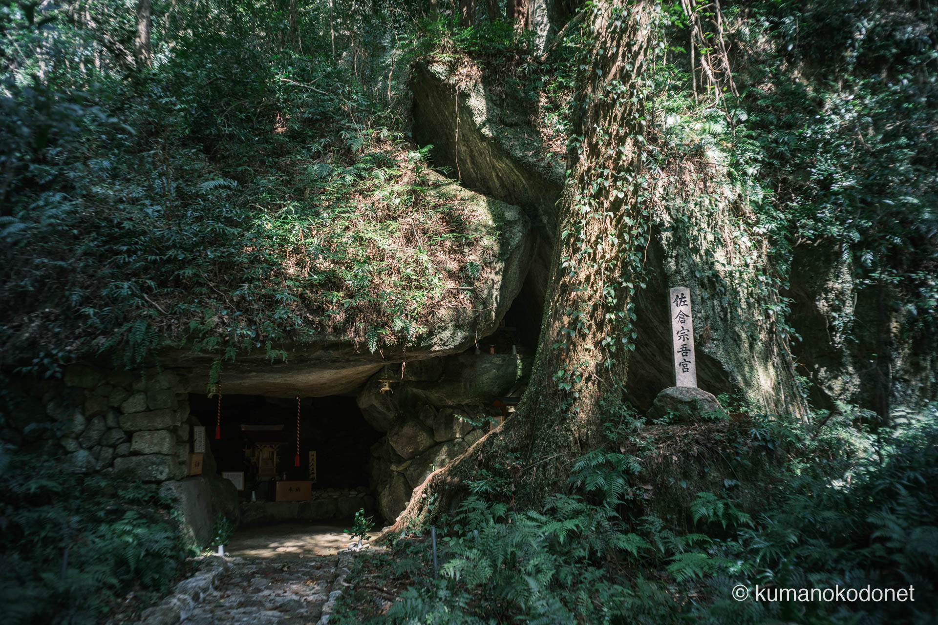 岩窟内に並んで鎮座する各御社と周辺の岩壁環境