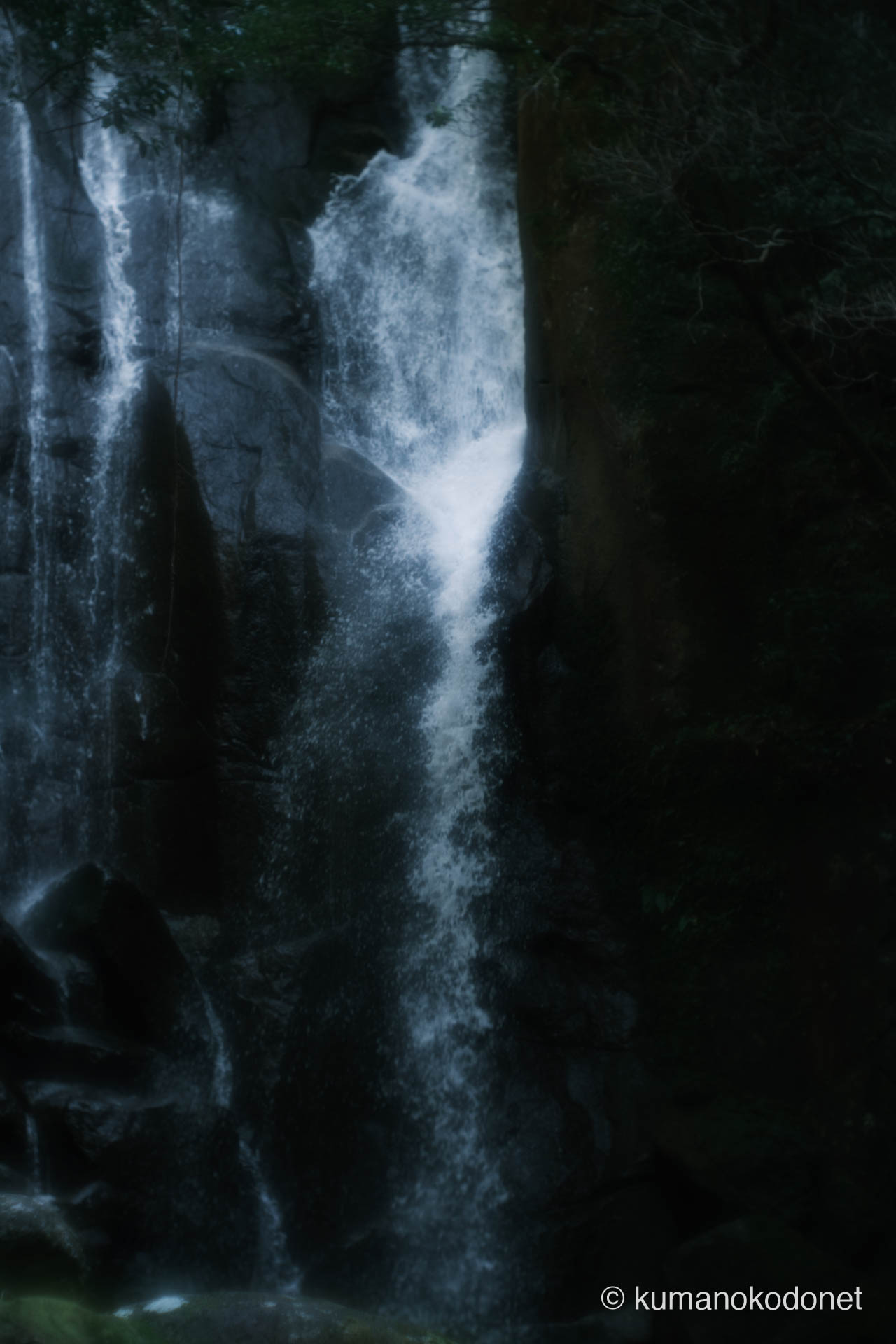 水量減少により岩肌を伝う細い水筋