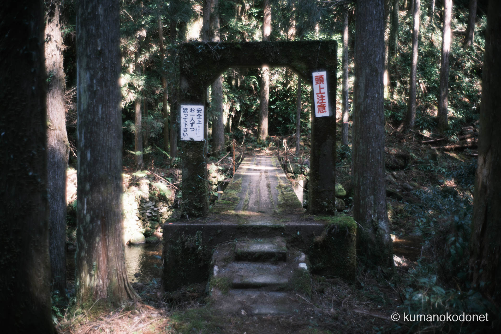 桑の木谷川に架かる吊橋
