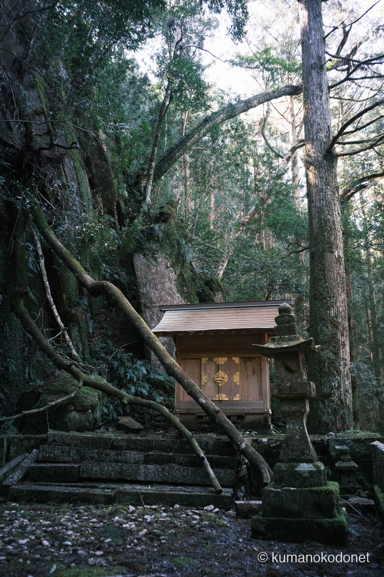 境内社殿脇に放置された倒木