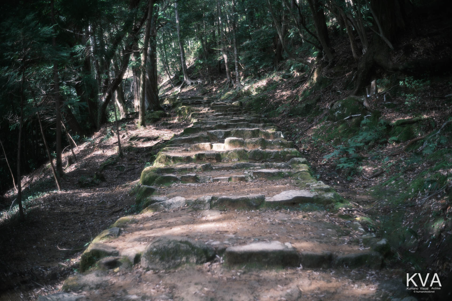 ボランティア有志によって清掃された神倉神社の石段（参道）