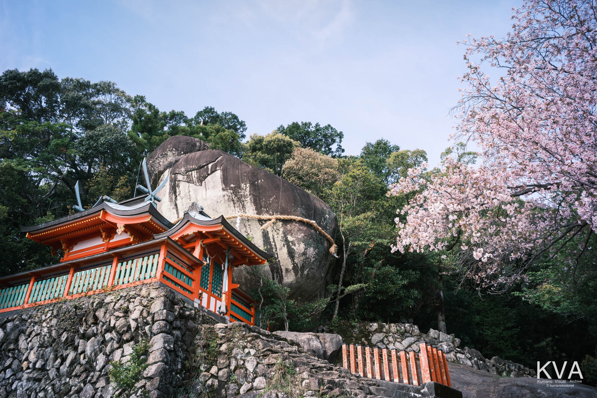 神倉神社の社殿とゴトビキ岩と桜