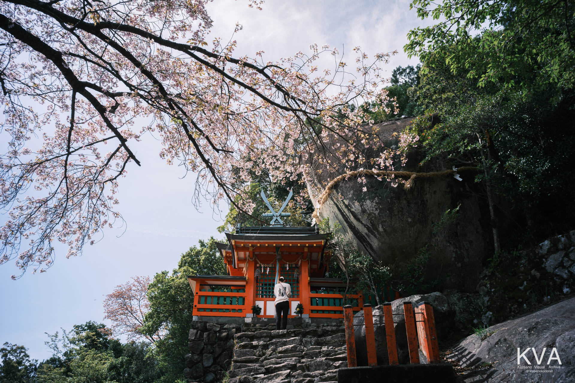 神倉神社の社殿前で参拝する女性と、背後のゴトビキ岩、手前に桜