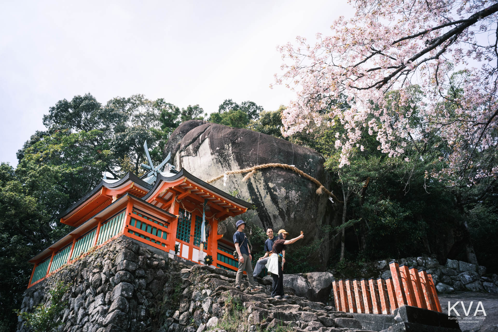 ゴトビキ岩と社殿、そして桜を背景にスマートフォンで自撮り（セルフィー）を楽しむ観光客のグループ