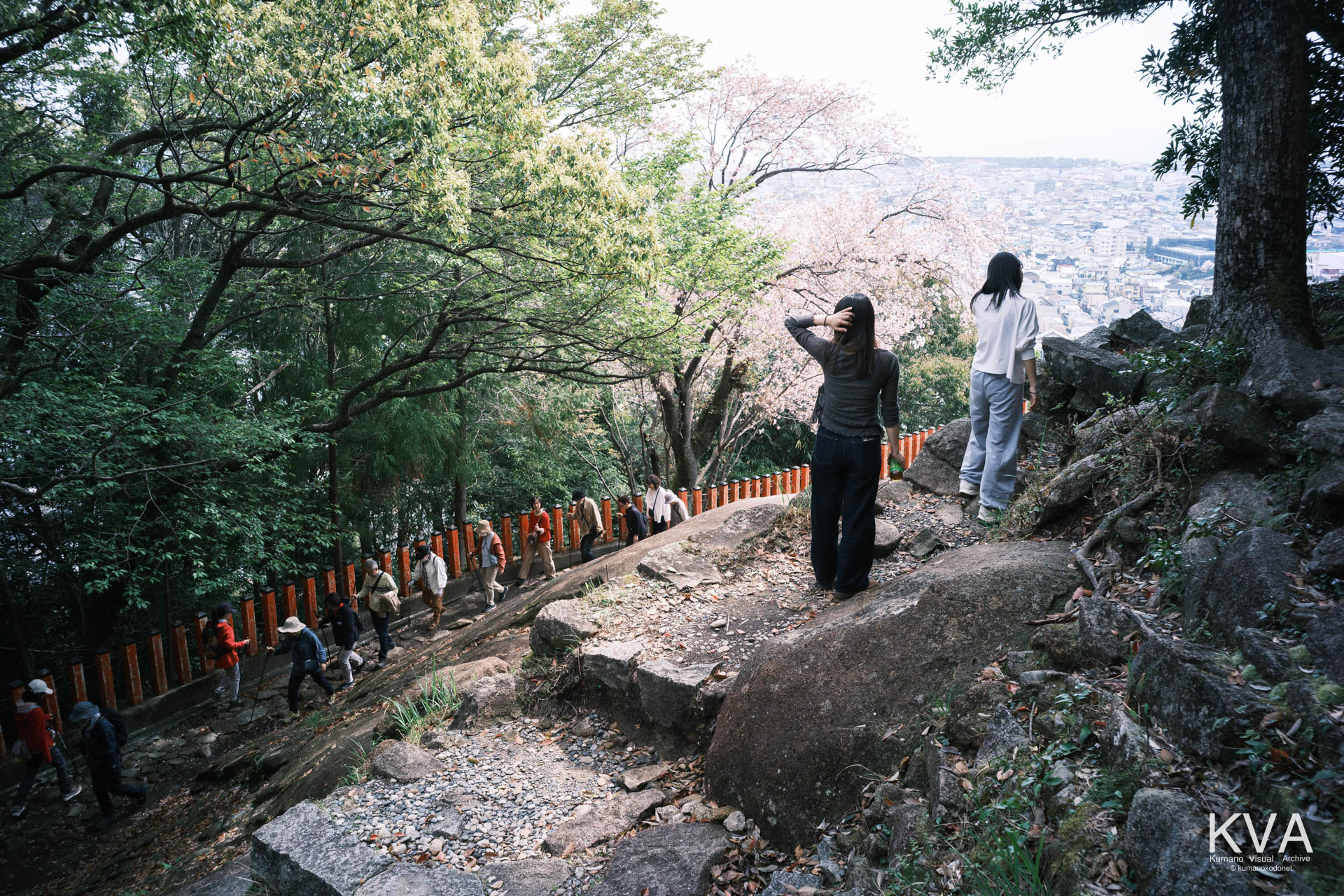 ゴトビキ岩の周辺から新宮市街地を見下ろした景観