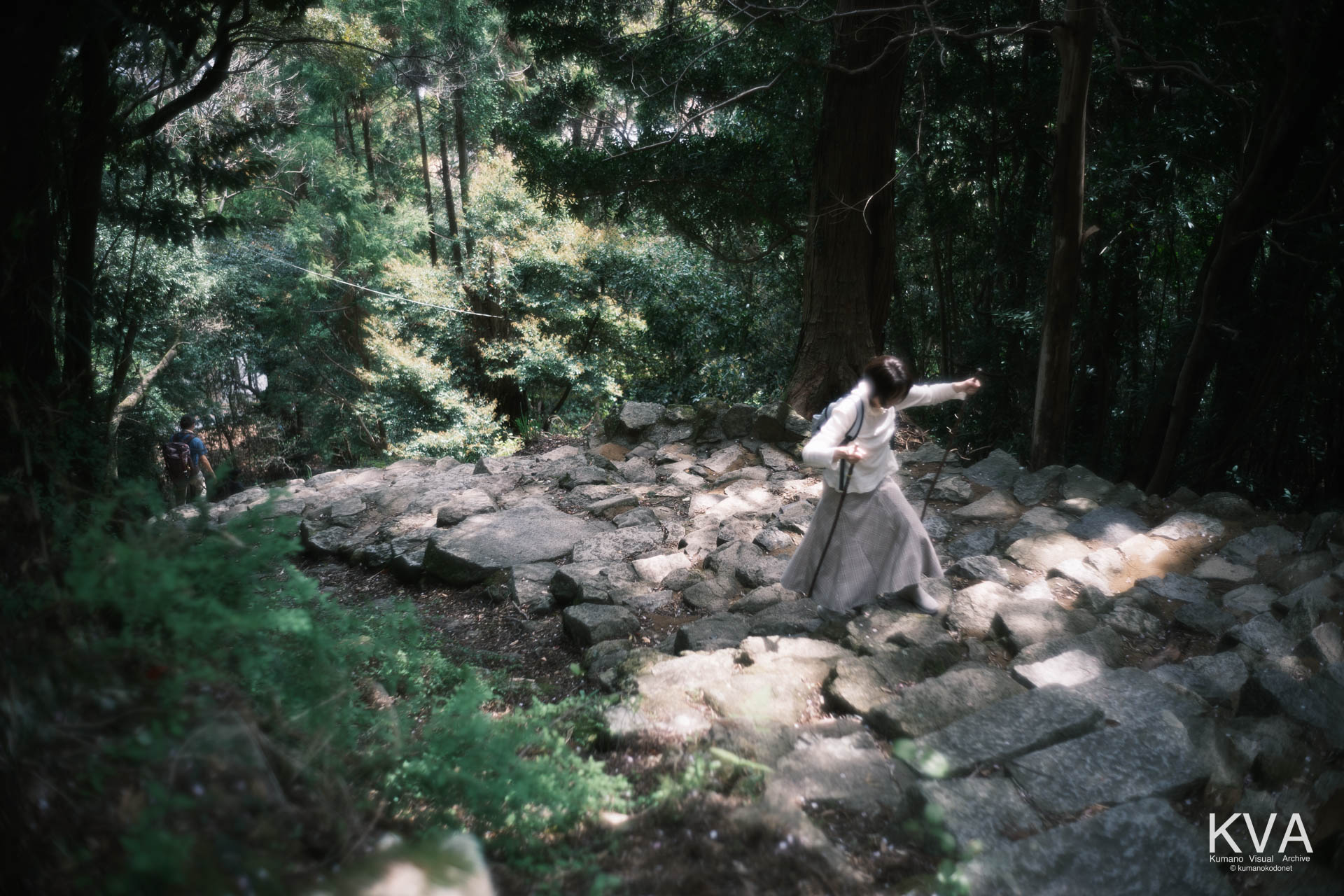 トレッキングポールを使用して石段を登る女性