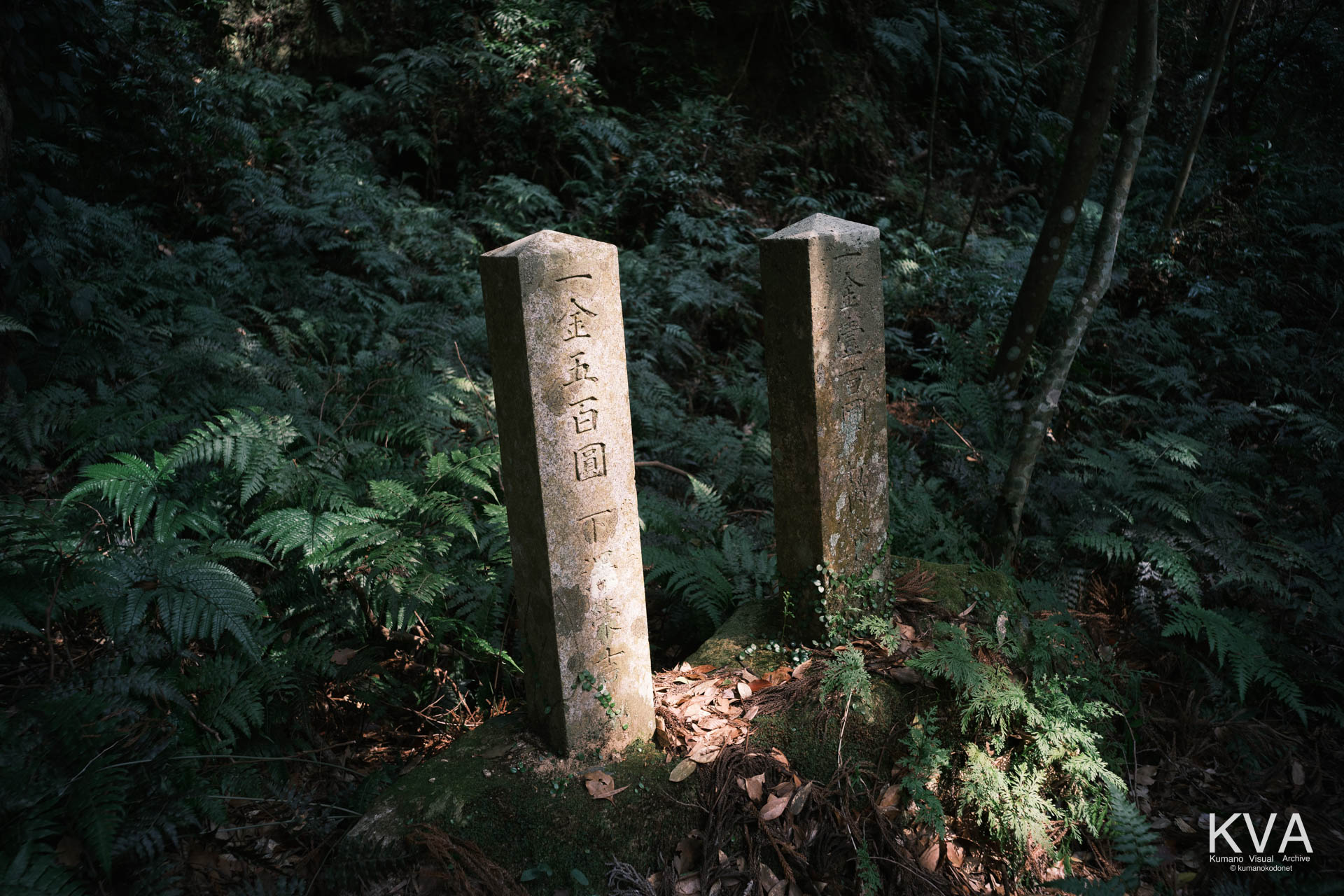 参道右側に並び立つ、寄進石柱