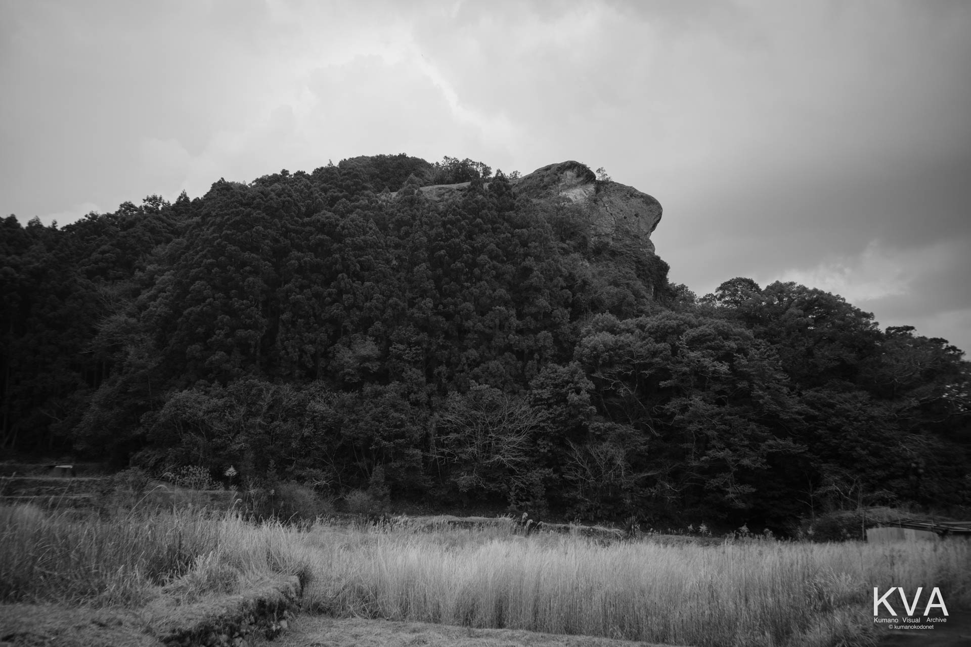 樹叢にそびえる御神体の磐座全景