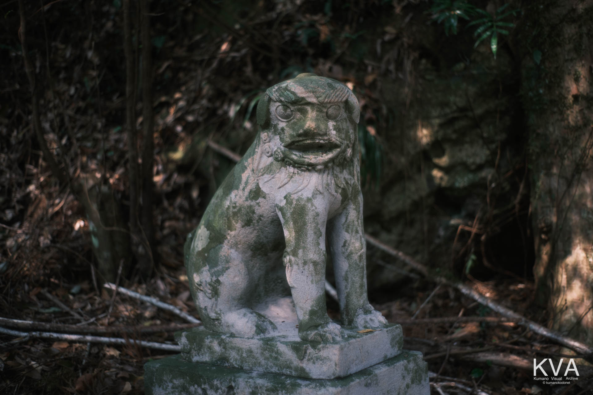 拝殿下の左側の狛犬