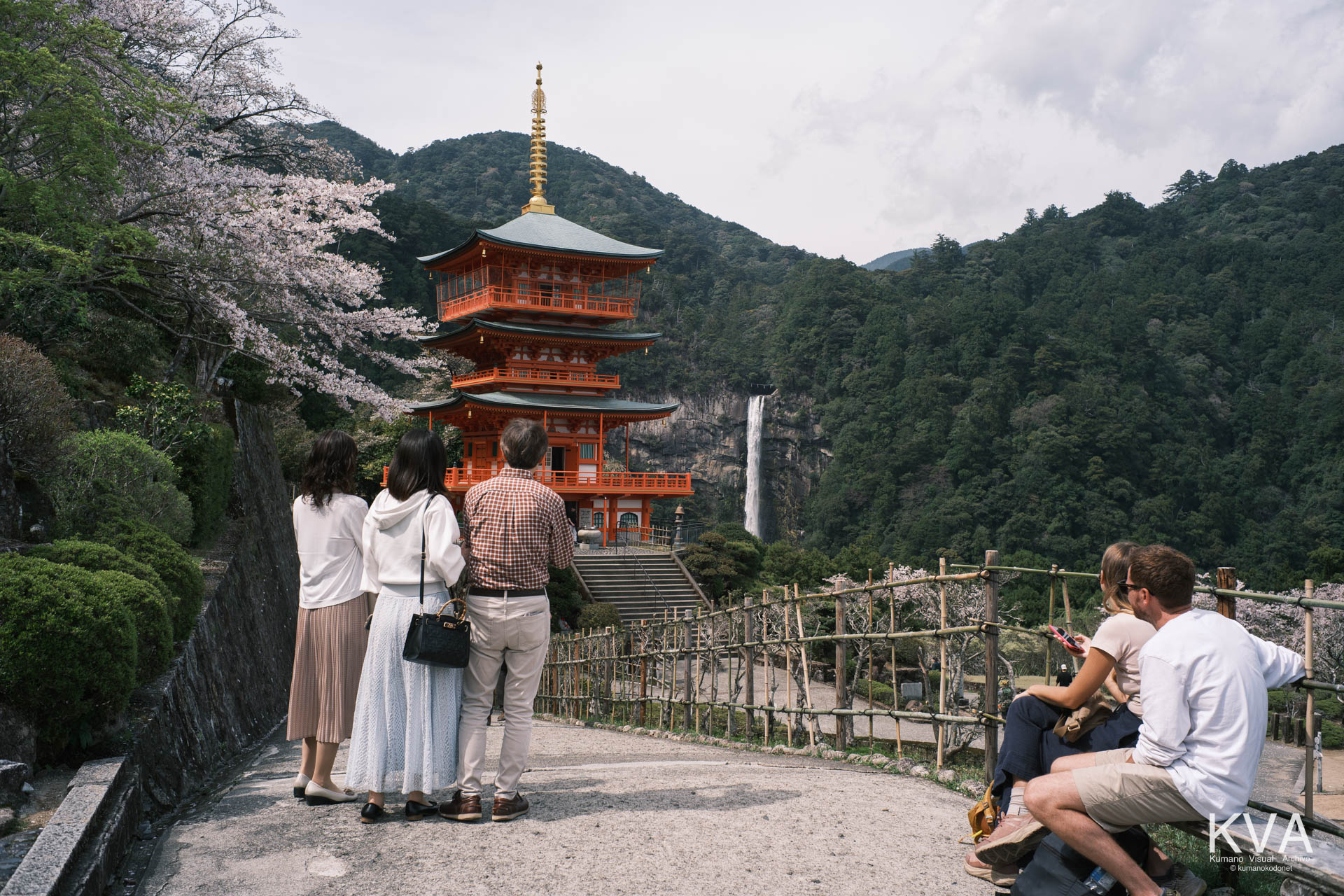 桜越しに青岸渡寺三重塔と那智の滝を望む参道、ベンチに座る参拝者と景色を眺める人々