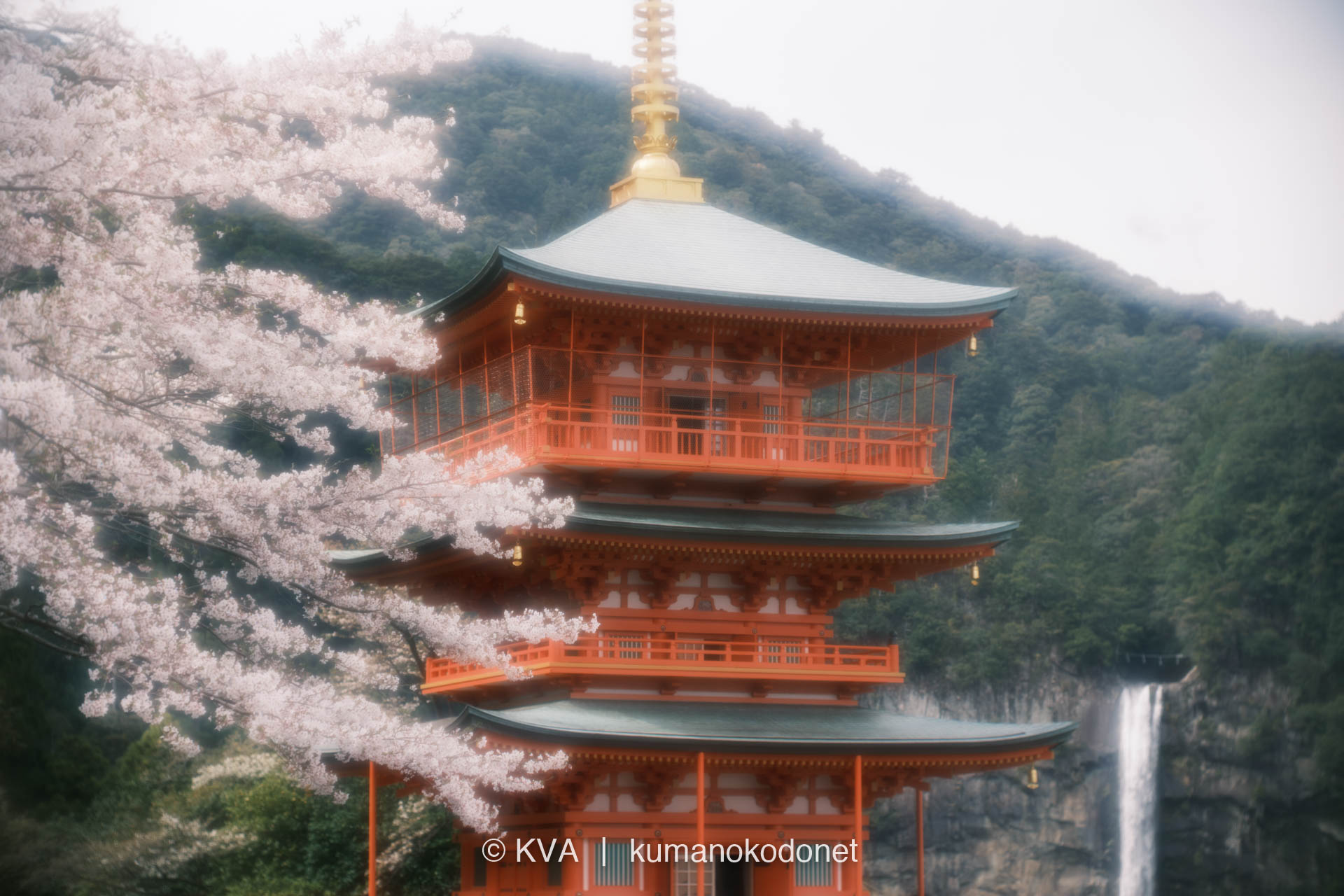 桜の枝の隙間から見上げた青岸渡寺三重塔の九輪と、右奥に望む那智の滝の上部