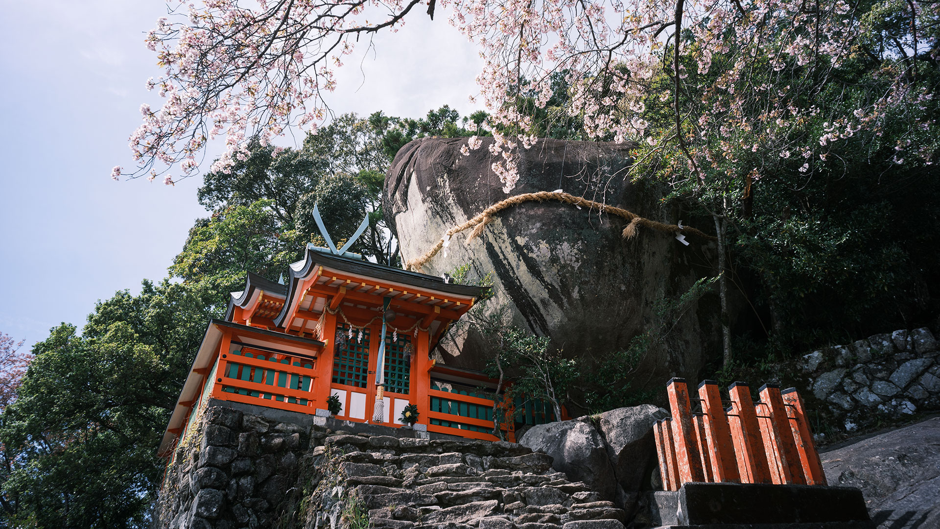 神倉神社の社殿、御神体であるゴトビキ岩、手前に桜