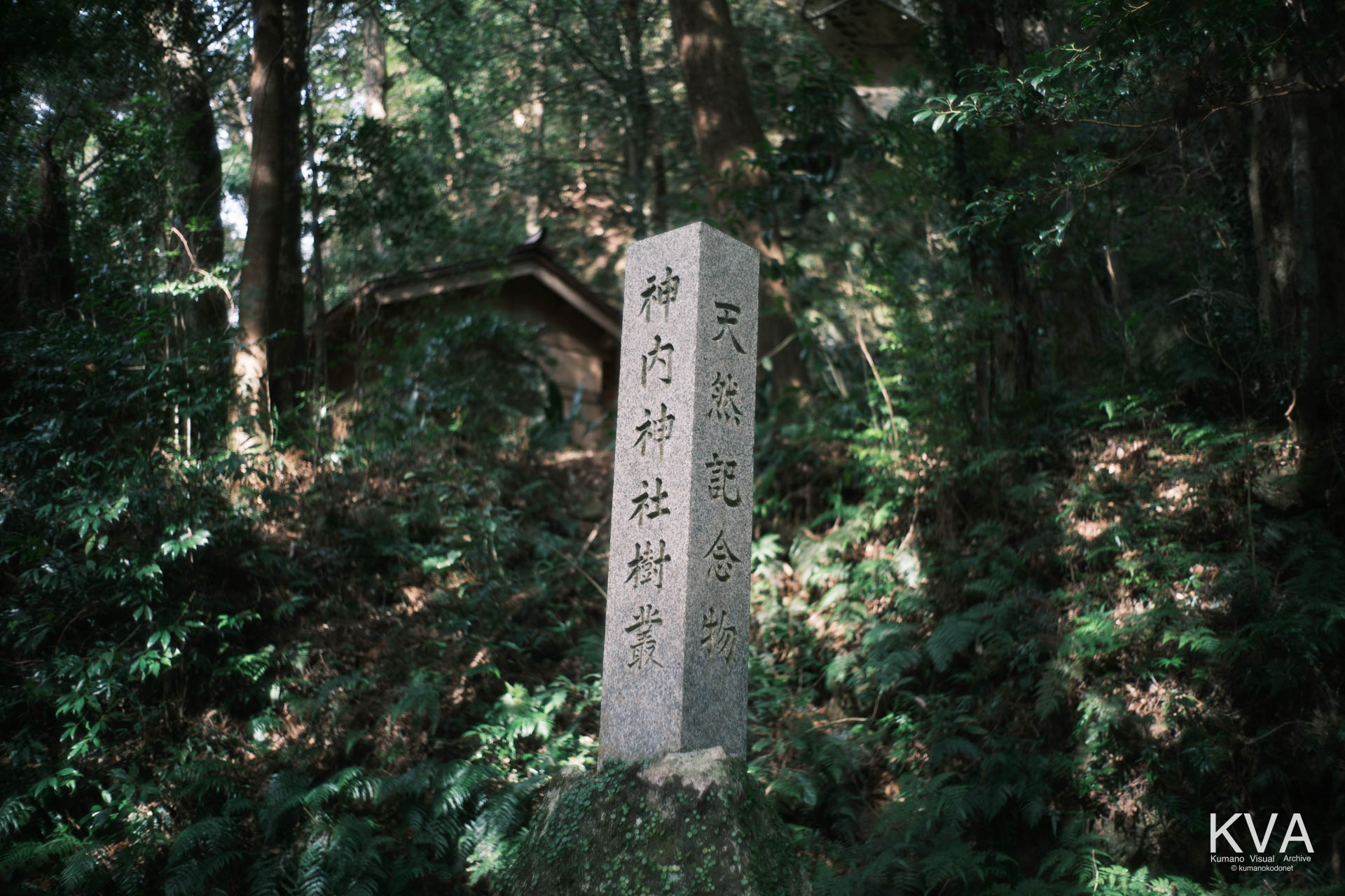 参道脇に立つ「天然記念物 神内神社樹叢」の社号標石碑