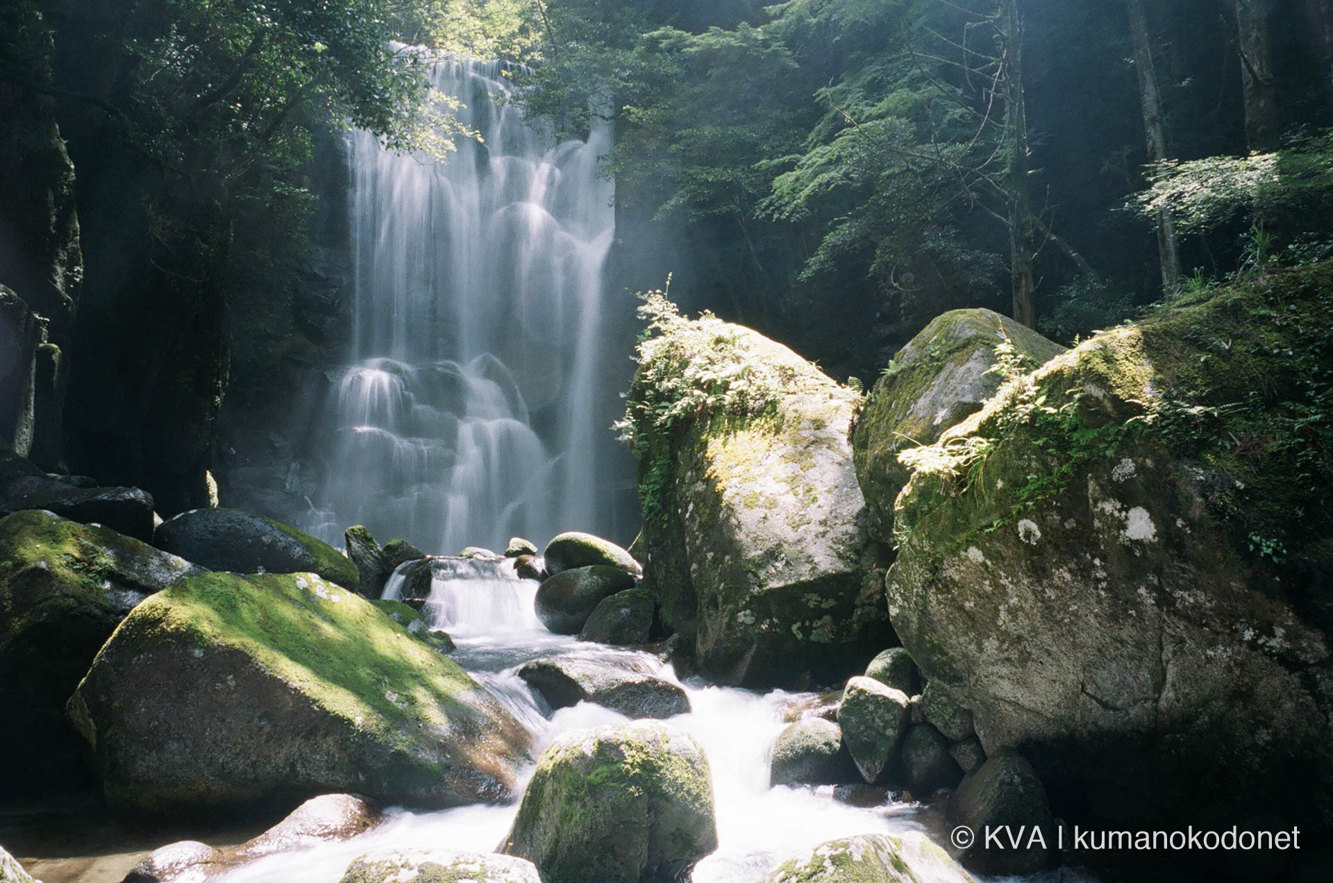 日本の滝100選にも選ばれている桑ノ木の滝の全景 Photo by KVA (Kumano Visual Archive)