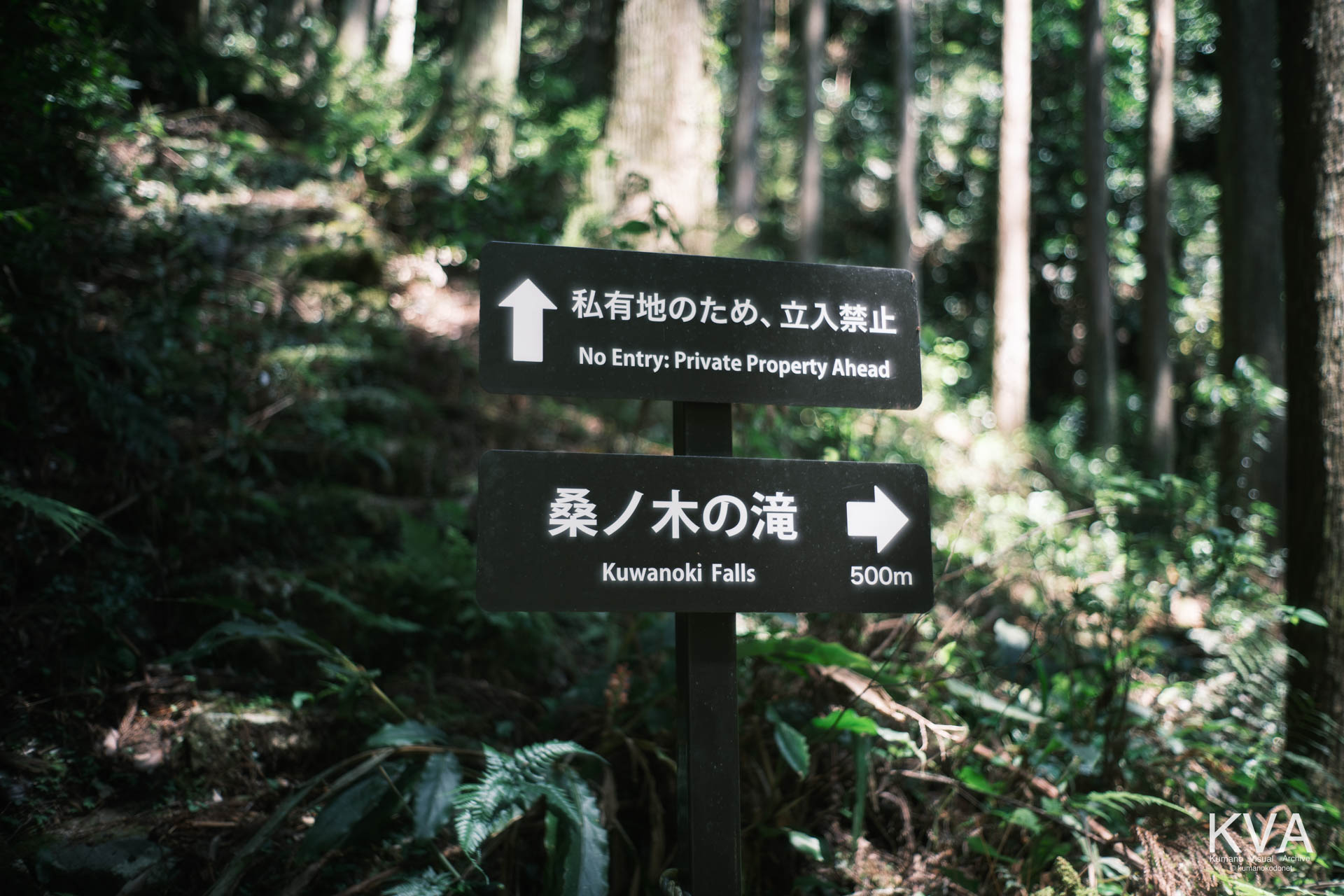 「私有地のため、立入禁止」と「桑ノ木の滝 500m」を示す案内看板