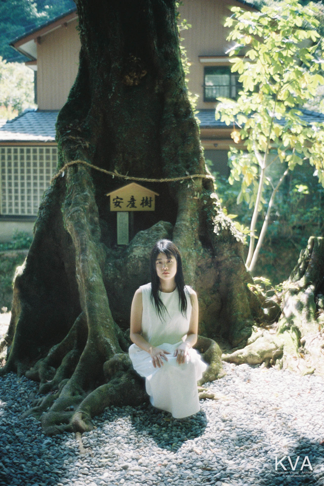 神内神社の御神木「安産樹」の根元に腰掛け、カメラを見つめる女性のポートレート