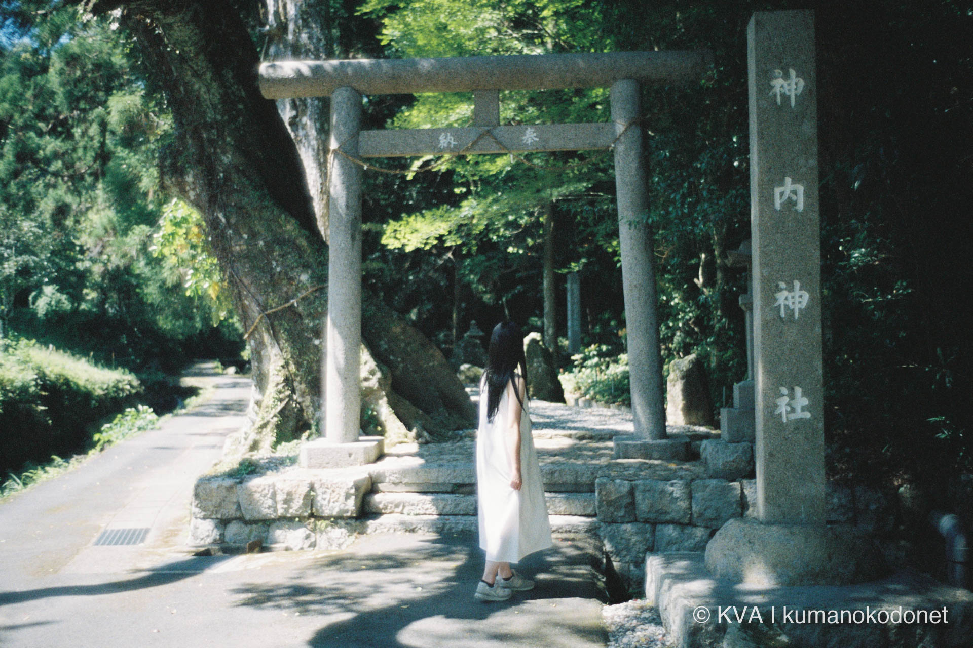 改修された神内神社の石造鳥居の正面から、Kodak PORTRA 400が描き出す参道の奥を見つめる女性のポートレート