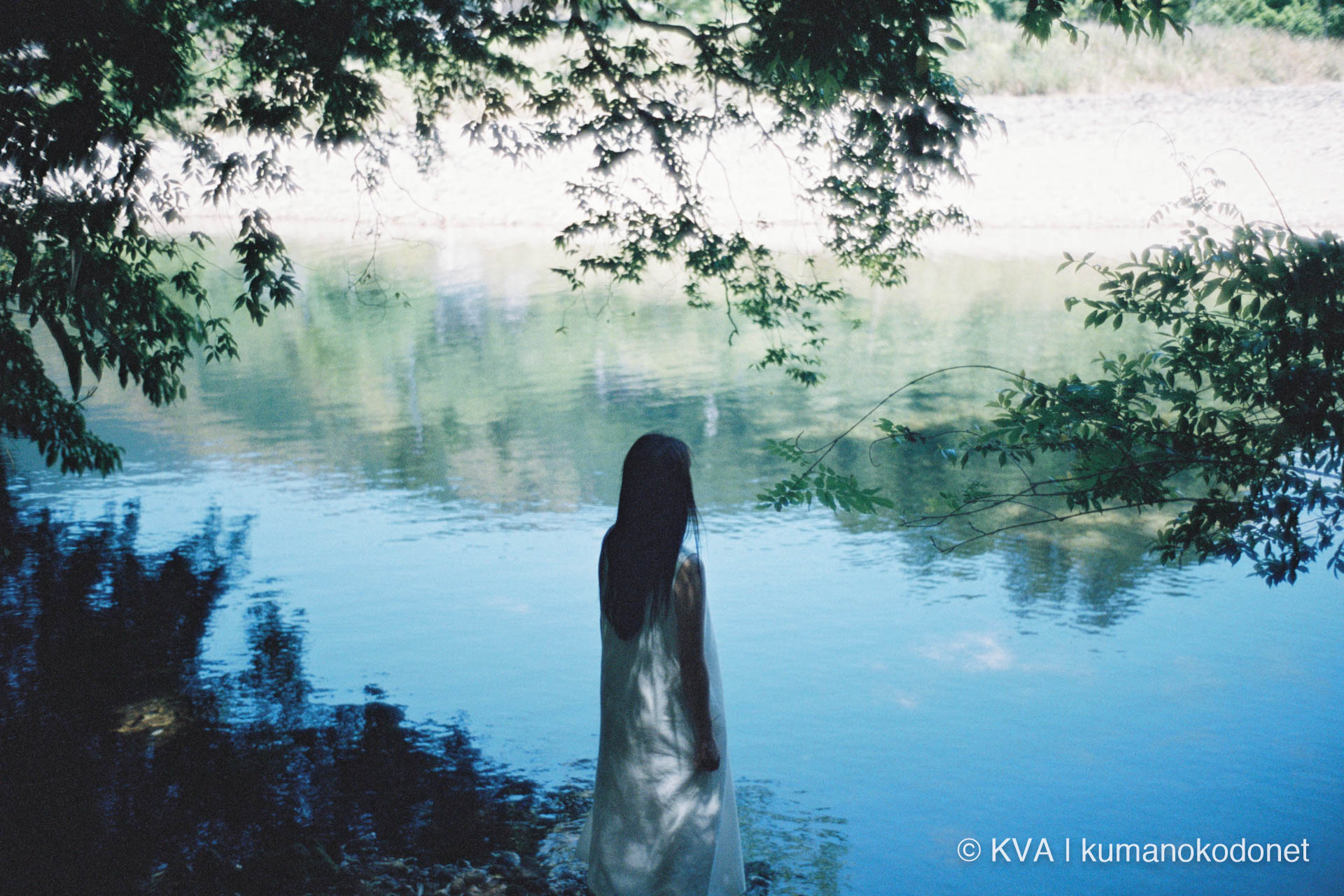川岸に広がる木々の葉の下で、水面を見つめる女性の後ろ姿のポートレート