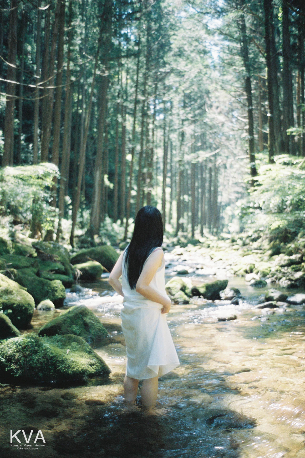 桑の木谷川の中に足を浸し、奥を見つめる女性の後ろ姿のポートレート