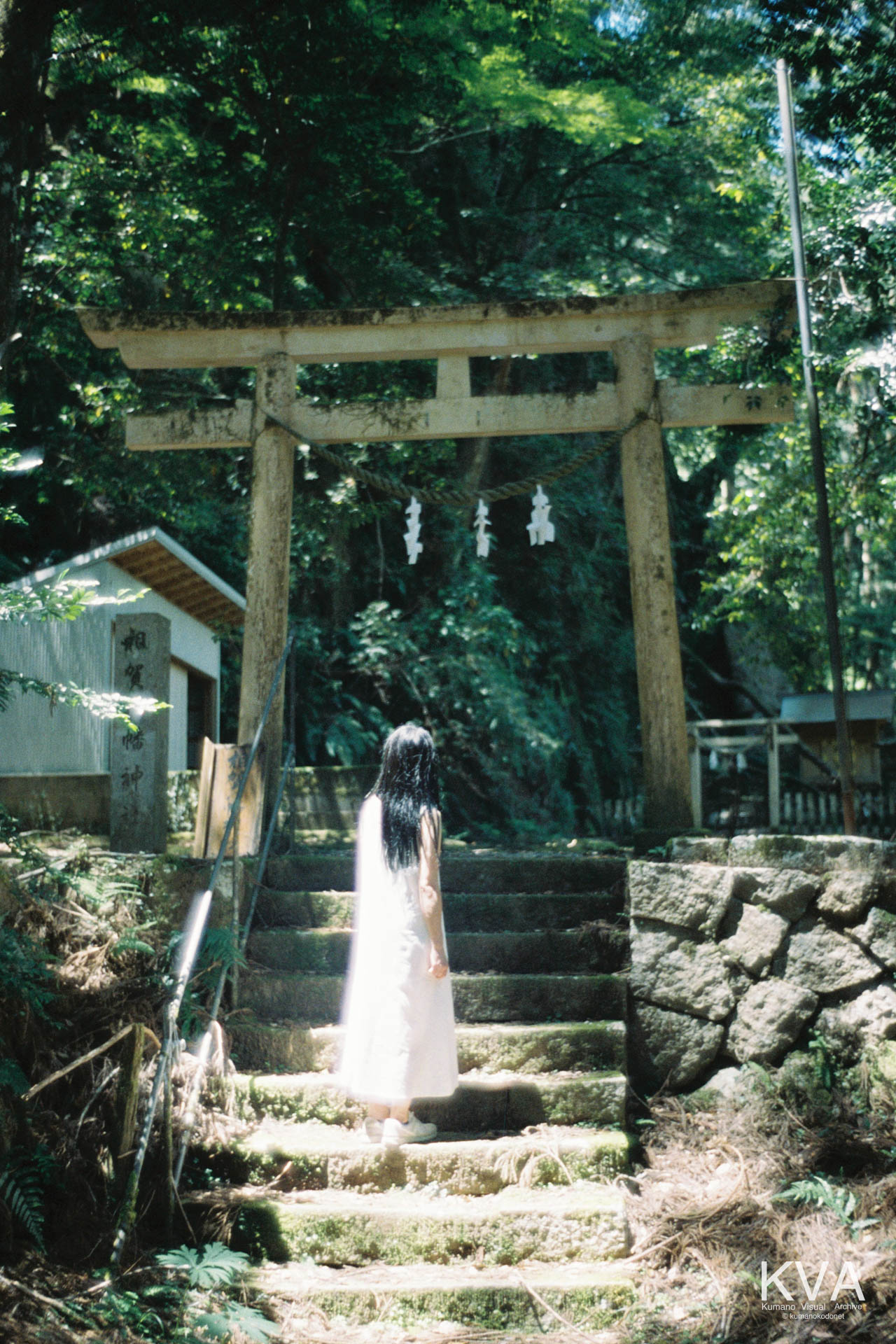 苔むした石段の先に立つ相賀八幡神社の鳥居を見上げる女性の後ろ姿のポートレート