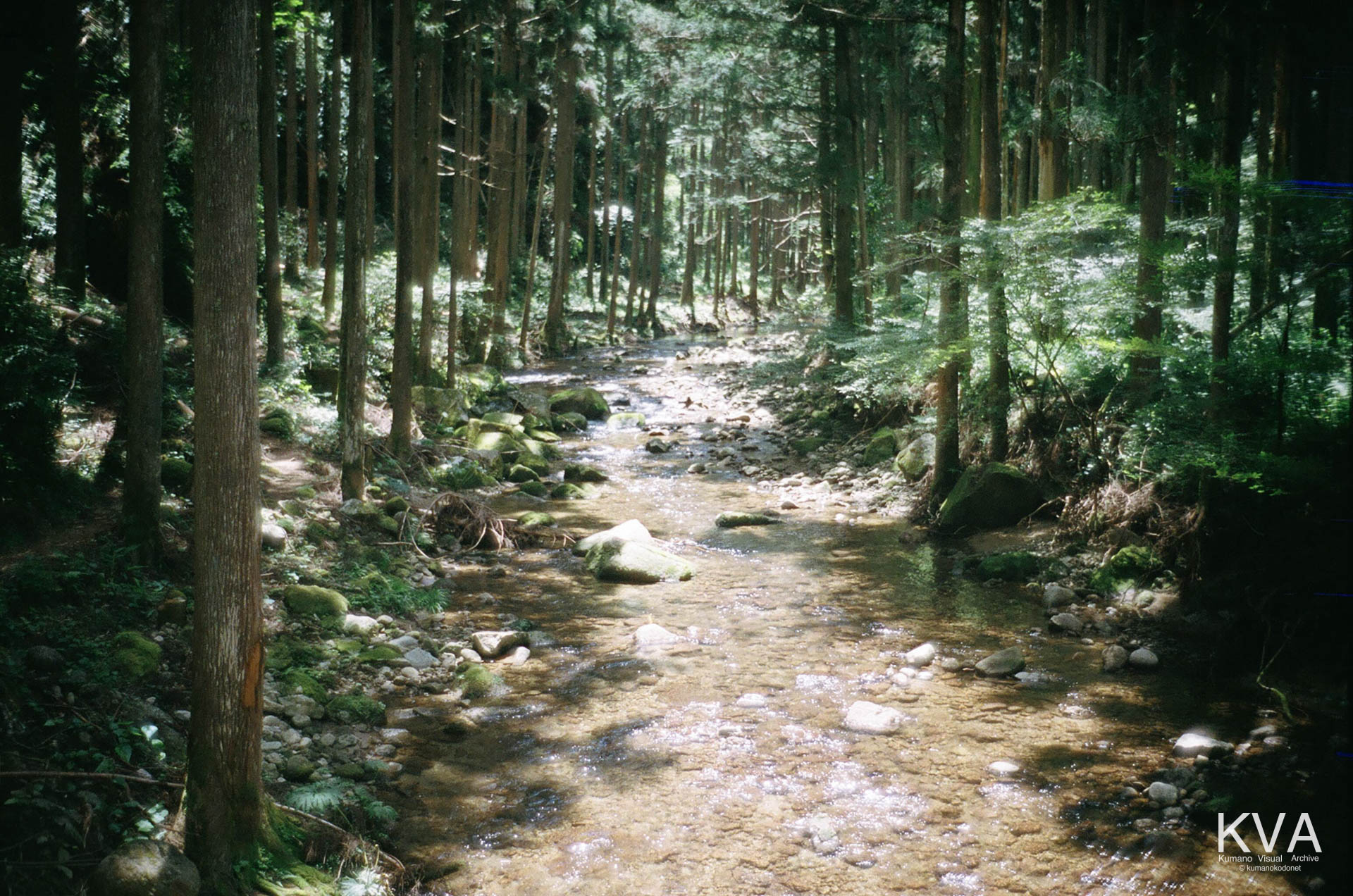 桑ノ木渓谷に架かる橋から見下ろす桑の木谷川の流れ